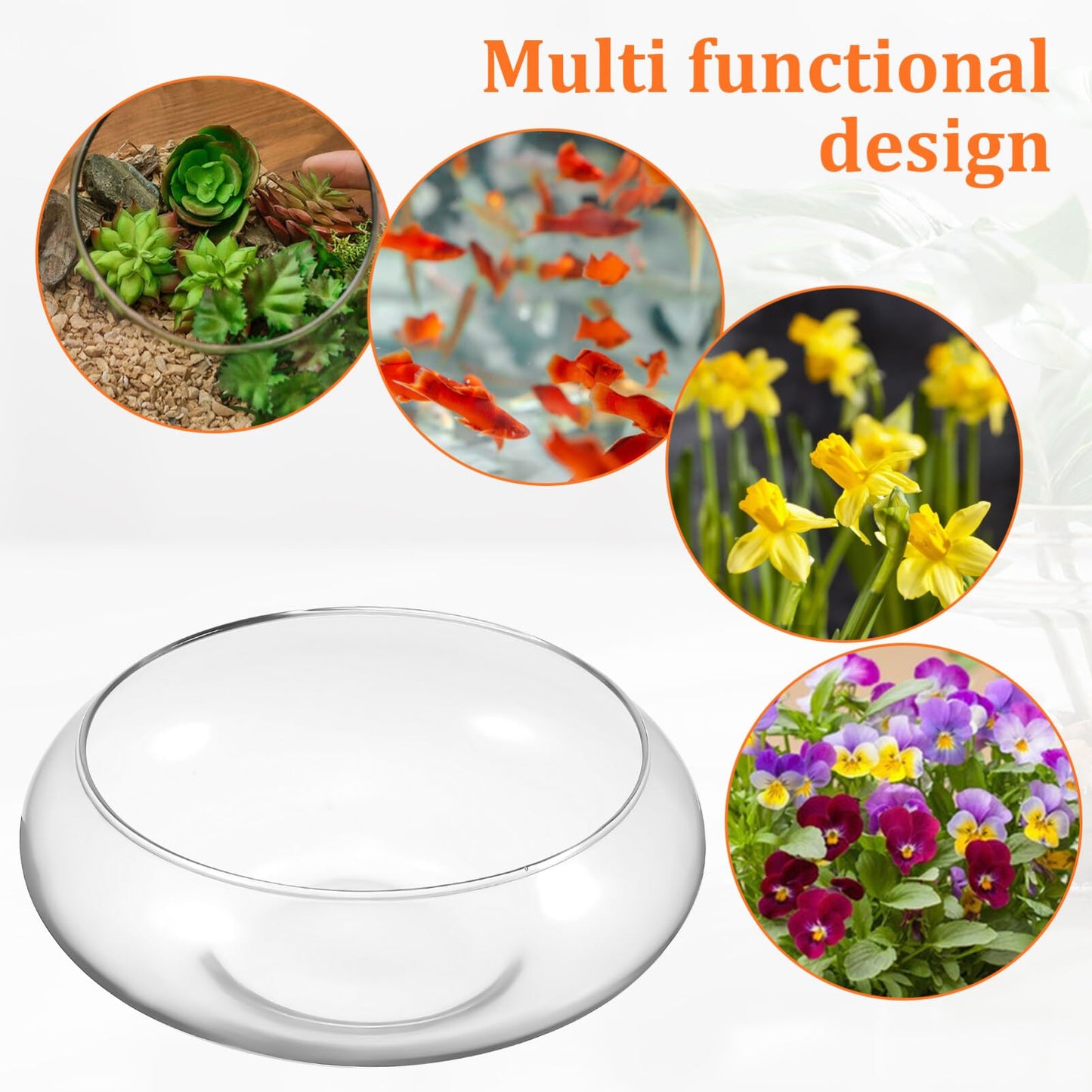 BESPORTBLE Glass Fish Bowl Vase - 2pcs Clear Shallow Bowl Planter Round Terrarium Hydroponic Planter Flower VAE for Plants Succulent Air Plant Candy Bowl, 15.00X15.00X6.00CM