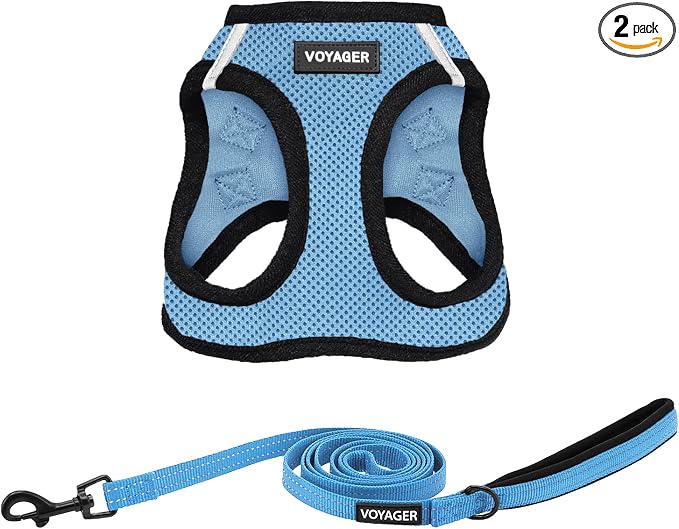 Best Pet Supplies Voyager Step-in Air All Weather Mesh Harness and Reflective Dog 5ft Leash Combo with Neoprene Handle, for Small, Medium and Large Breed Puppies - Baby Blue/Black Trim, Small