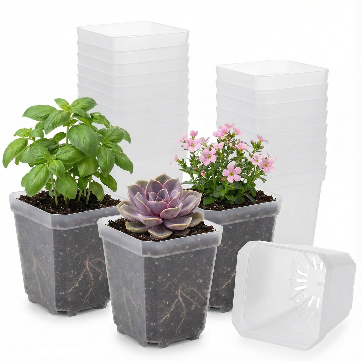 RooTrimmer 120 Packs Square Clear Nursery Pots with Drainage, 2.7 Inch Plastic Seedling Pots for Indoor Plants, Thickened Small Transplant Pot for Seed Starting Succulents Vegetables Lettuce Flowers