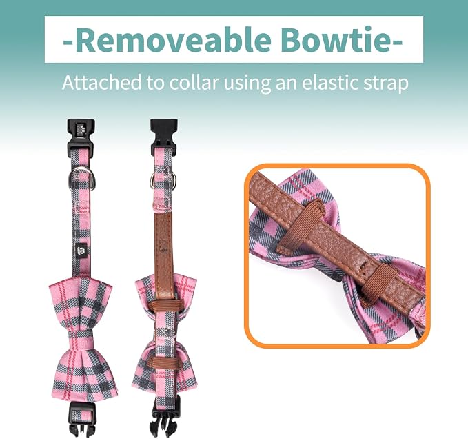 IVY&LANE Dog Collar with Bowtie and Leash Set | Plaid Adjustable Dog Collar | Detachable Bow Tie |5 FT Dog Leash | for Small Medium Large Dogs | Checkered Pink | Medium