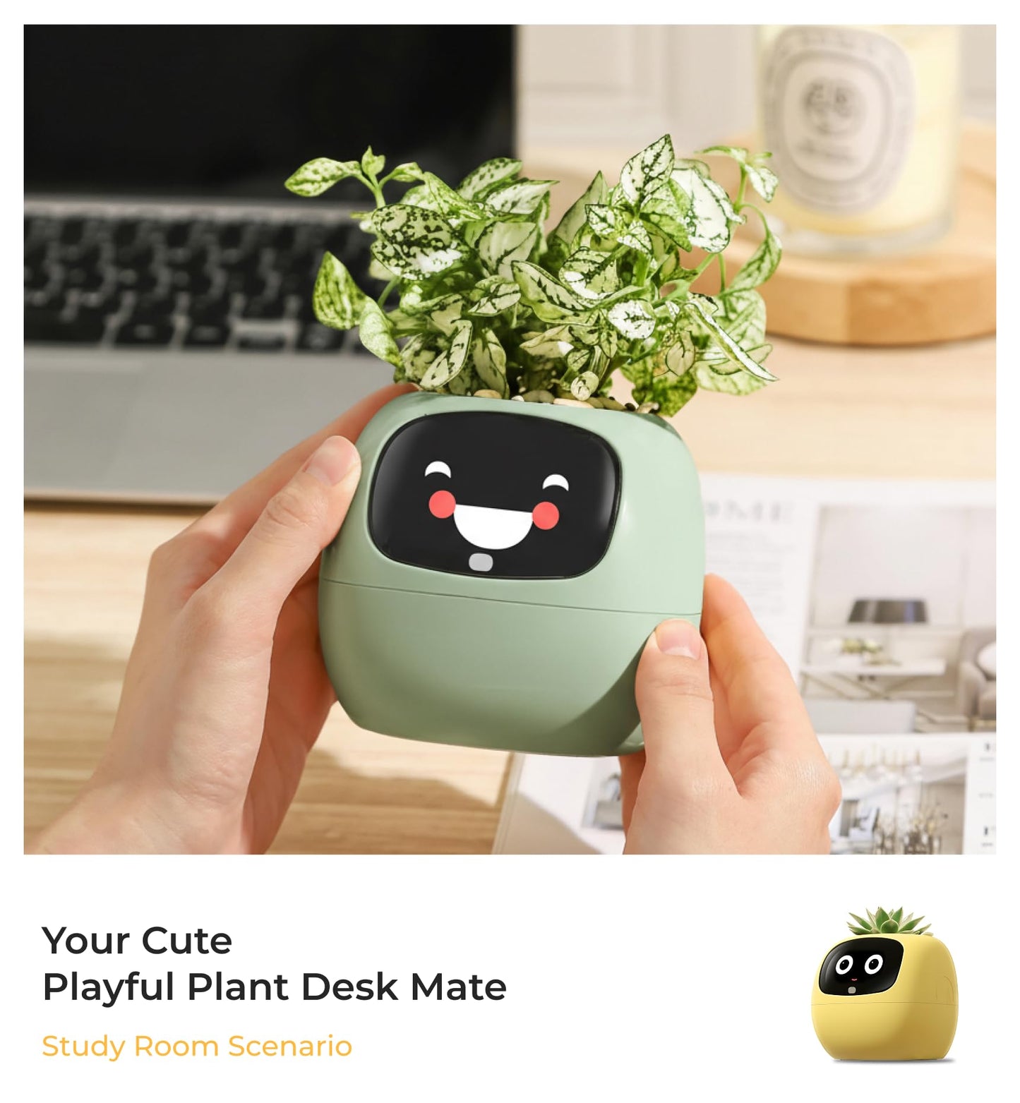 PLANTSIO Gen2 Ivy Intelligent Flower Pot for Home Decoration Plants Companion Neat Desk Setup Gift Smart Pet Planter Robot Guidance on Plant Care with Emojis