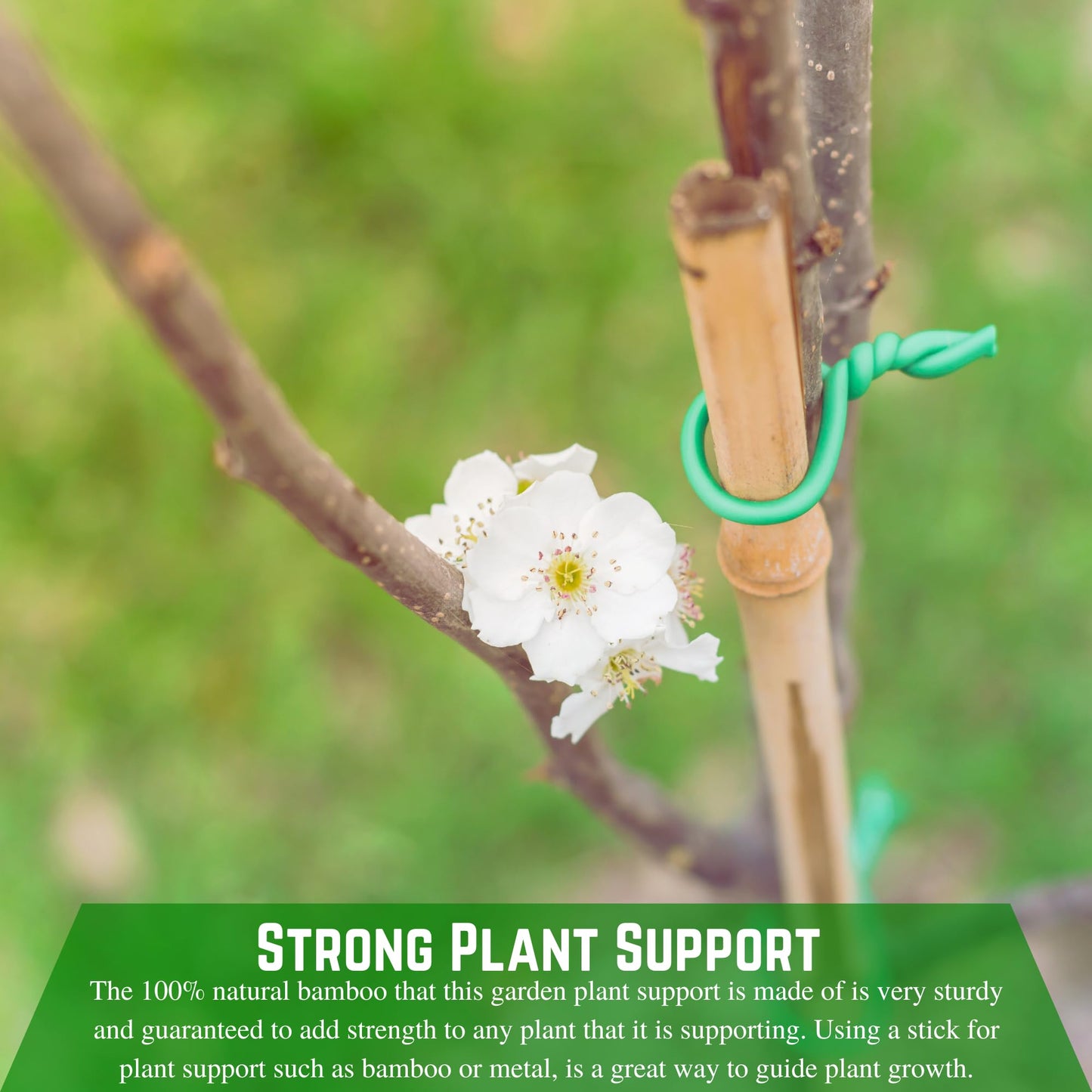 Farm Plastic Supply - Bamboo Garden Stakes - Bambo Sticks, Bamboo Plant Stakes for Outdoor Plants, Plant Support Stakes for Indoor Plants (7 Foot, 5)