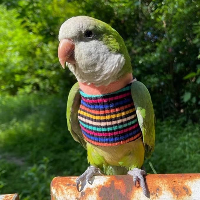 Bird Clothes - Handmade Cotton Stripe Shirt Round Collar Sweater Flight Suit for Parrots African Greys Parakeet Cockatiel Sun Conure Christmas Halloween (Without Diaper,2M)