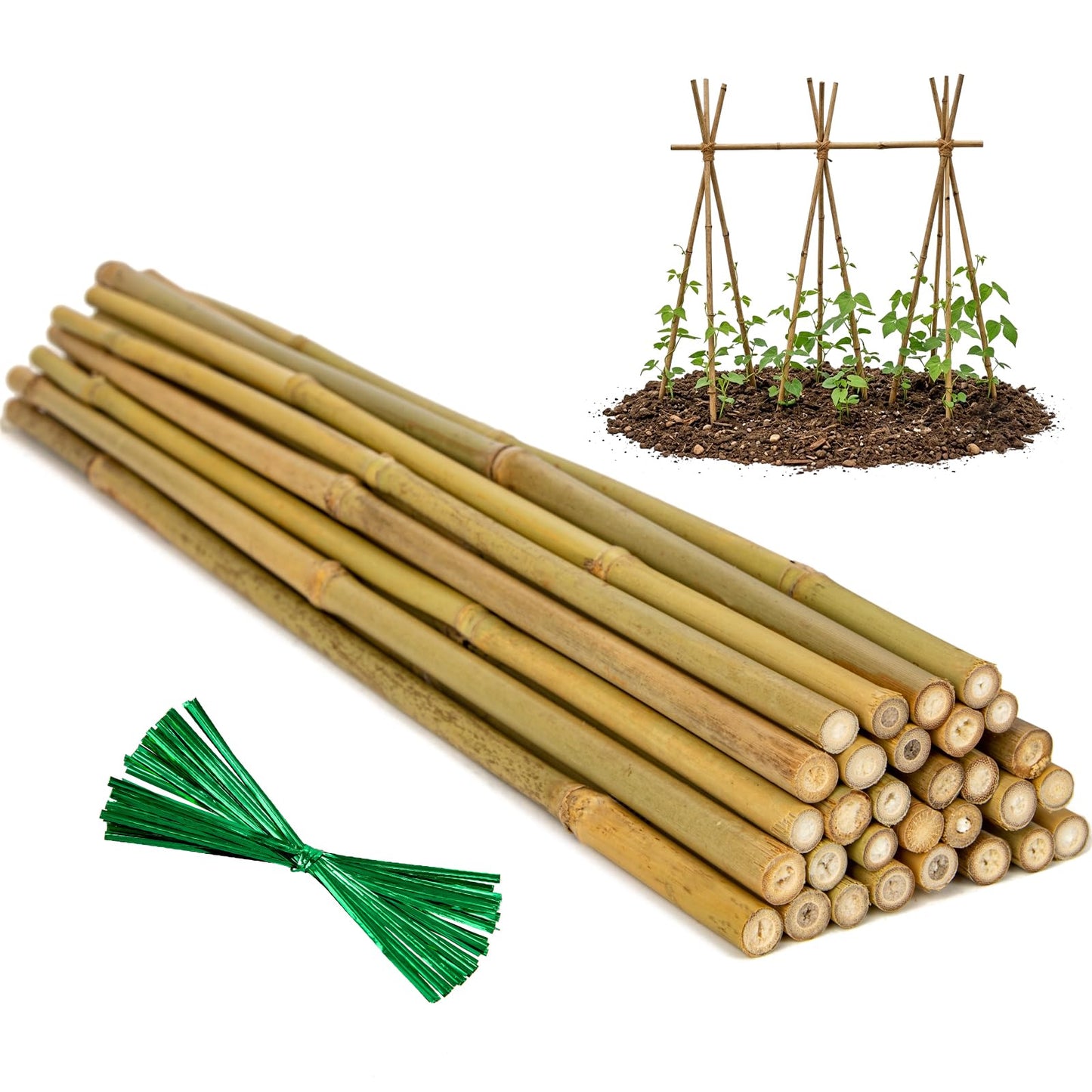 Plant Stakes Natural Bamboo Sticks - 30 Pcs Bamboo Garden Stakes for Plants 4.8 FT Plant Support Sticks with Twist Ties for Tomatoes Beans Flowers Indoor Outdoor Potted Climbing Plants
