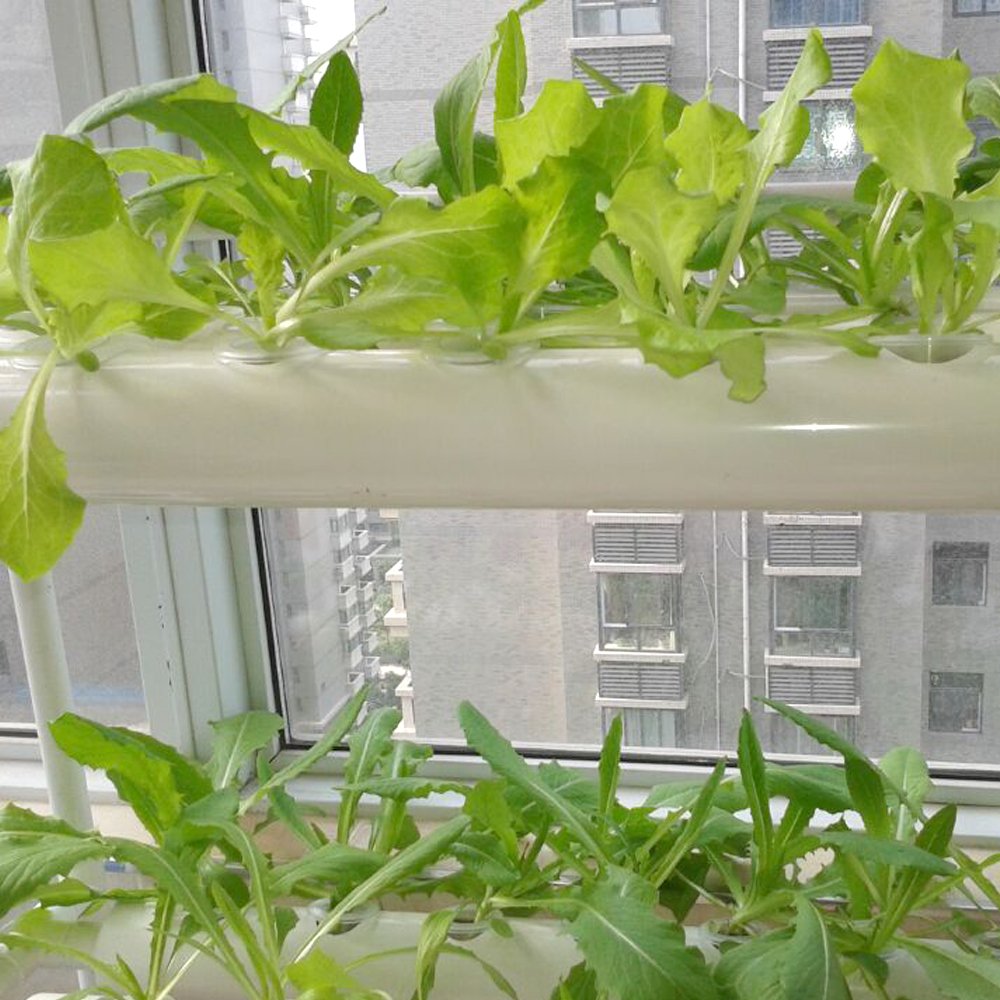 LAPOND Hydroponics Growing System Kit,54 Plant Sites 2 Layers Food-Grade PVC-U Pipes Hydroponic Grow Kit Gardening System with Water Pump, Timer,Net Pots and Sponge for Vegetables,Fruits,Herb