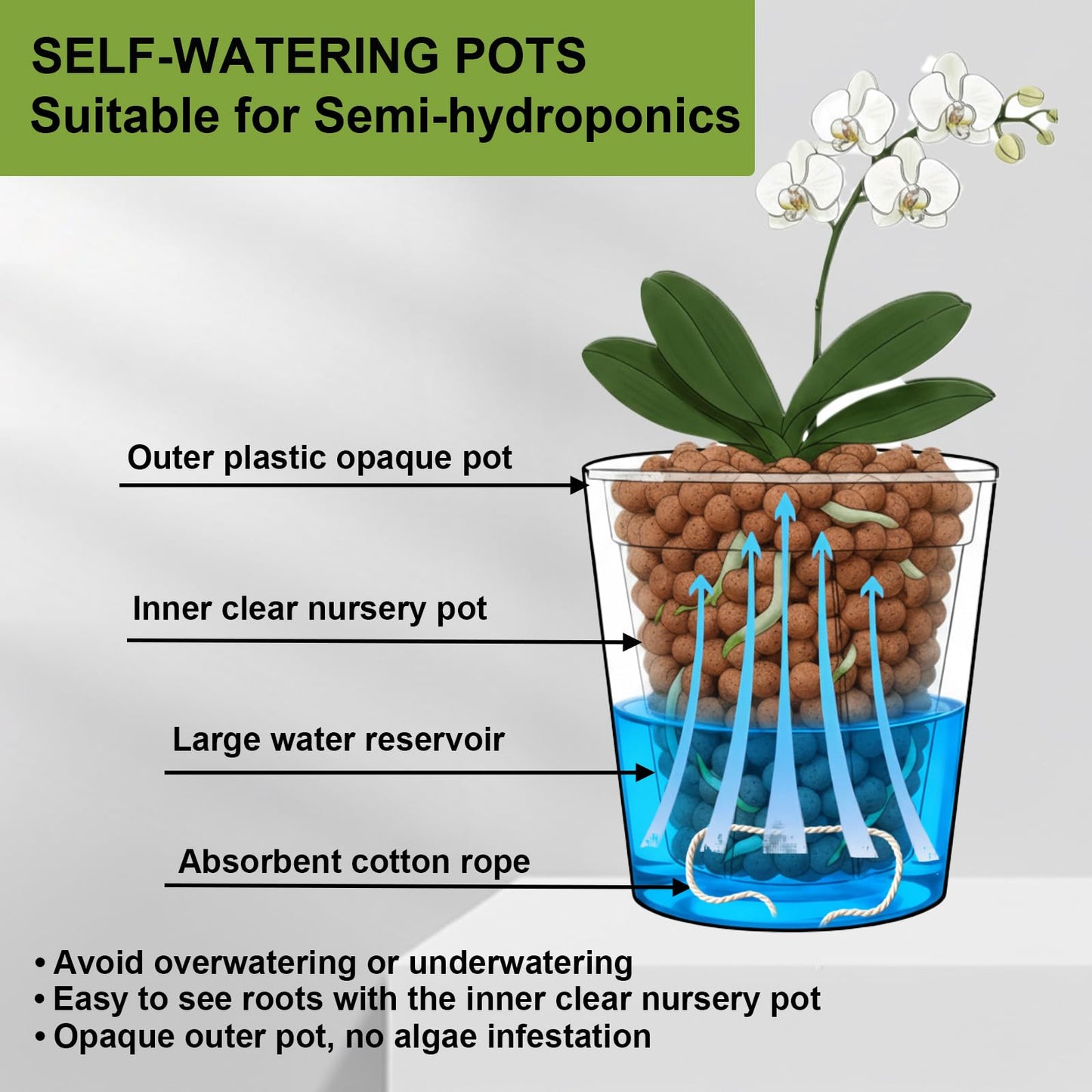 TineDew 3 Pack of 6in Plastic Cachepot with 6 inch Clear nusery Pot - self Watering Indoor Planter with Drainage for Root Visibility,semi Hydro pots for repotting Orchids,Aroid or Monstera,Black