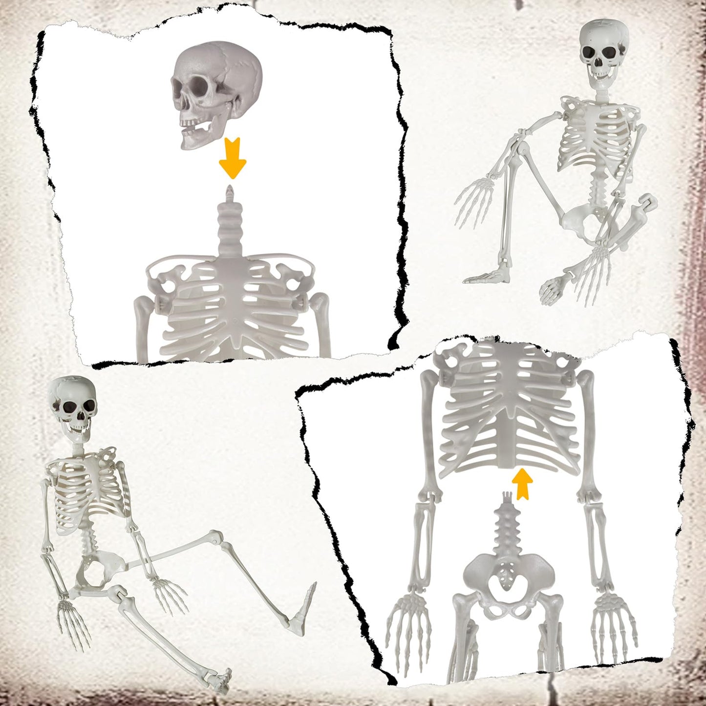 SUNREEK 3 ft Skeletons for Halloween, 36 inch Life Size Skeleton with Full Body Posable Joints, Halloween Plastic Skeleton for Outdoor Yard Patio Lawn Garden Haunted House Spooky Scene Decor (1)