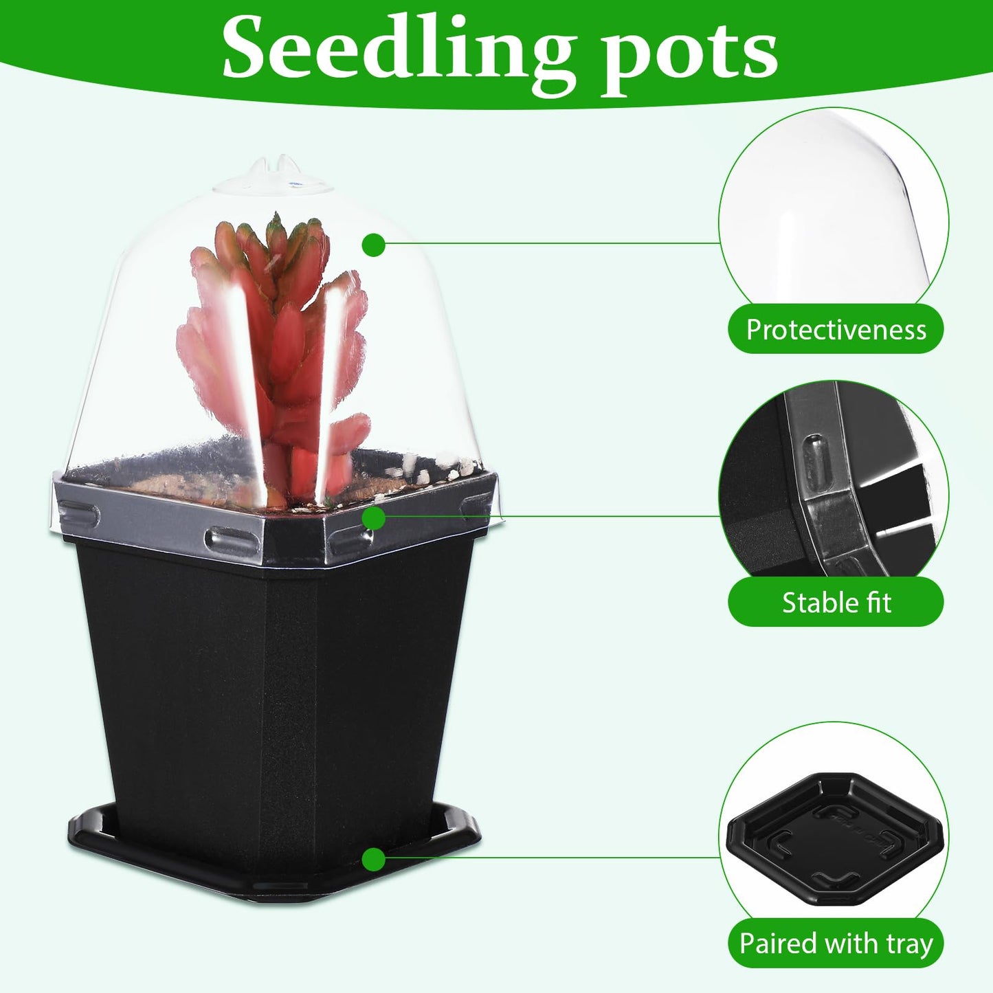 LIOOBO Black Plant Nursery Pots: 5Pcs Seeding Starter Pots, 3 Square Nursery Pot with Humidity Dome, Plastic Plant Container for Garden Vegetable Flower Germination