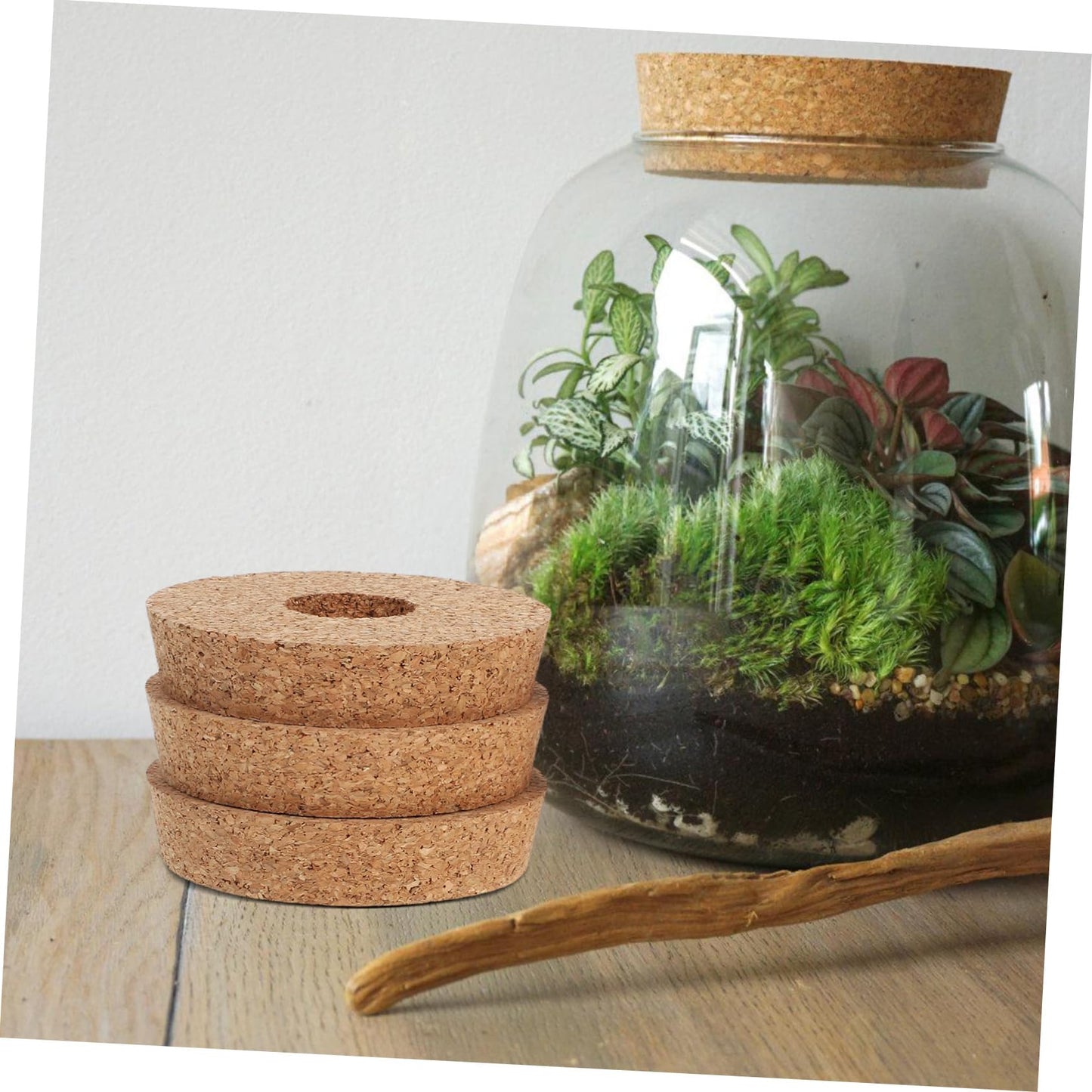 KESYOO 6 Pcs Hydroponic Glass Terrarium Vases with Cork Lids for Plant Propagation Flower Pot Stoppers for Indoor Decor