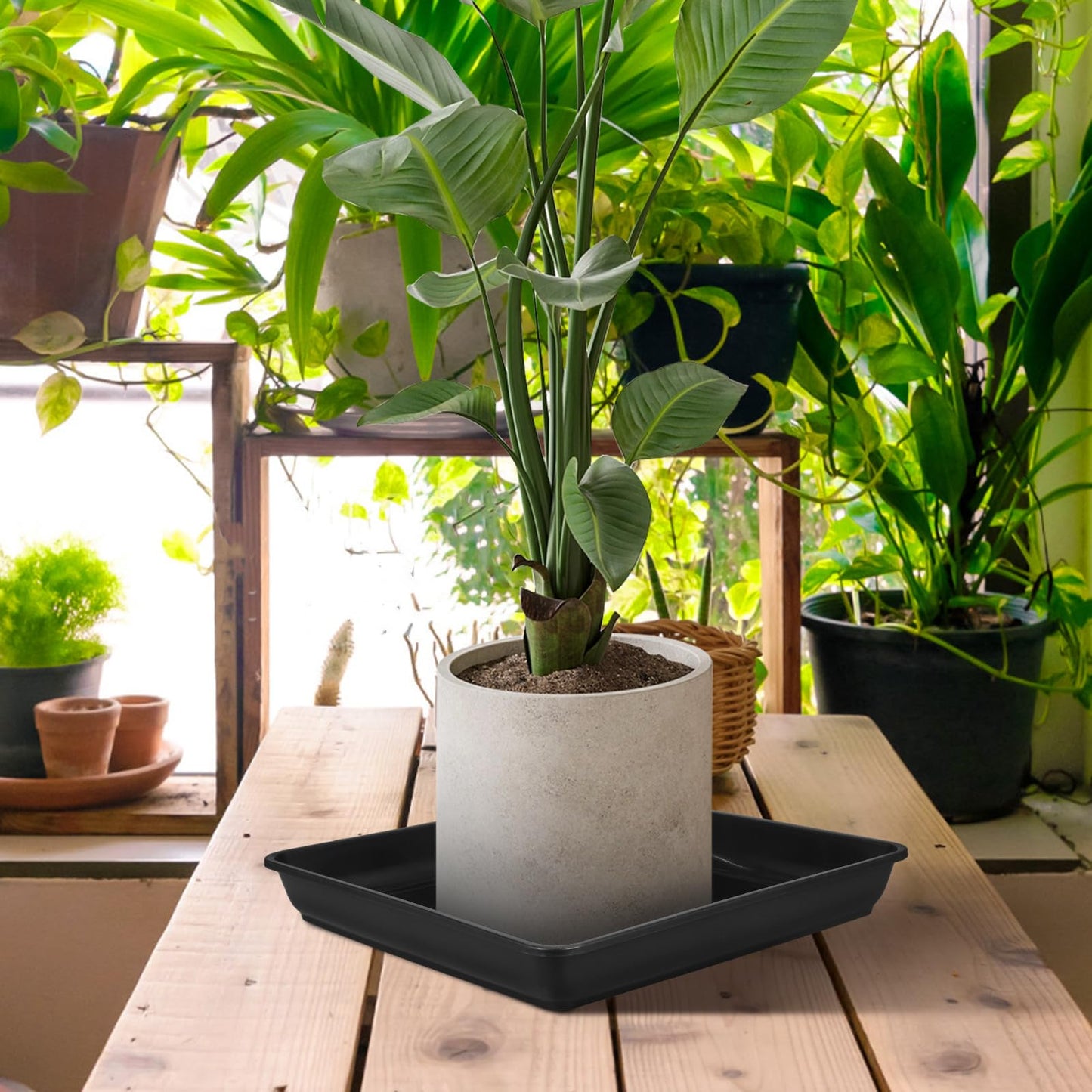 DOITOOL 16 Inch Square Plant Saucer Tray for Flower Pots Plastic Planter Drip Tray Holder Indoor and Outdoor Pot Drainage Saucer 2 Pack