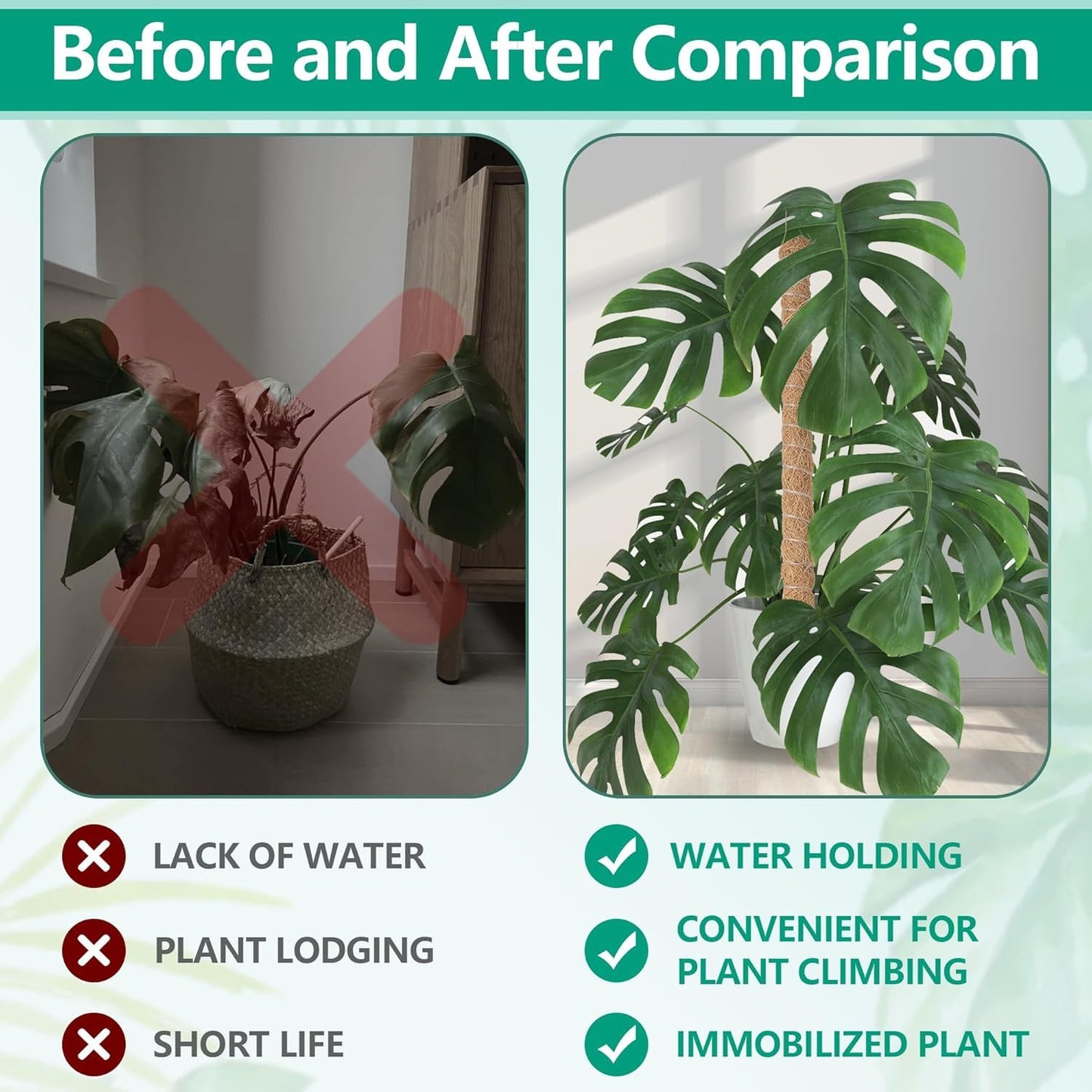 AlisisFores 4 Pcs Bendable Moss Pole for Monstera Plant Support，24 Inch Handmade Coir Pole Stick for Climbing Plants Indoor Plant Stakes for Potted Plants to Grow Upwards