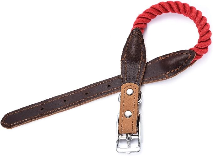 Mile High Life Genuine Leather Dog Collar, Durable Braided Cotton Rope Collar with Metal Pin Buckle for Small Medium Large Dogs (Red, S Neck 11"-15")