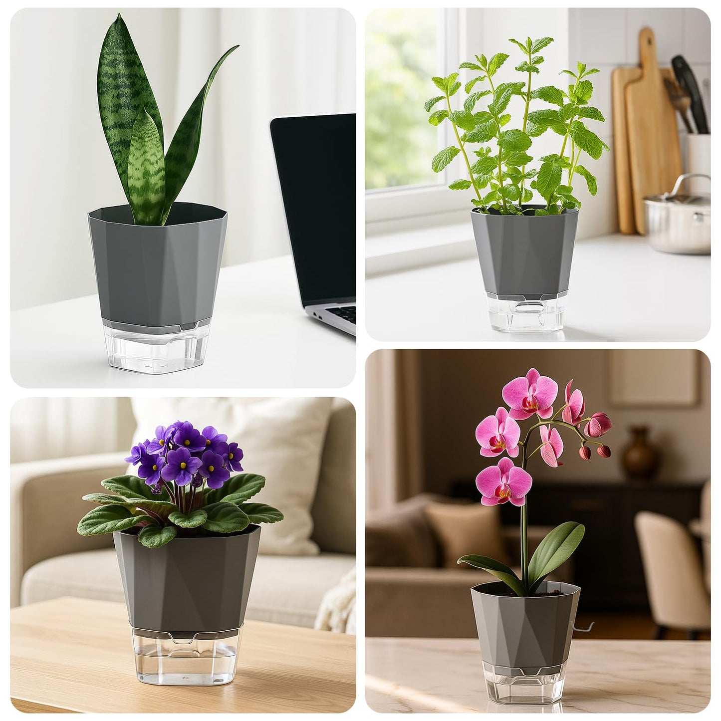 6 Pack Self Watering Pots for Indoor Plants, 5 Inches Self Watering Planters African Violet Self Watering Clear Pots for Plants Herb Orchid Flower Houseplant, Dark Grey