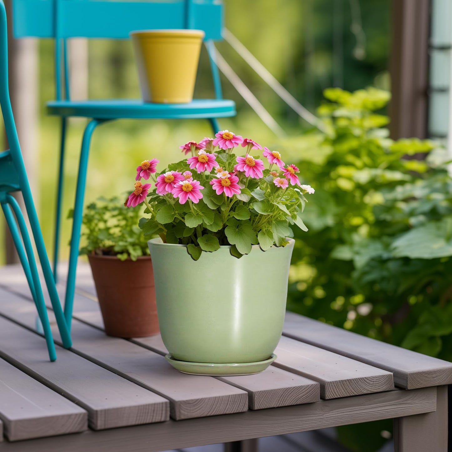 SUNPOTFOR 5.6 Inch Plant Pot - Ceramic Pots for Plants Indoor Outdoor, Round Orchid Succulent Pot with Drainage Hole and Saucer, Modern Small Planter, Home Room Window Decor, Plants Lover Gift, Green