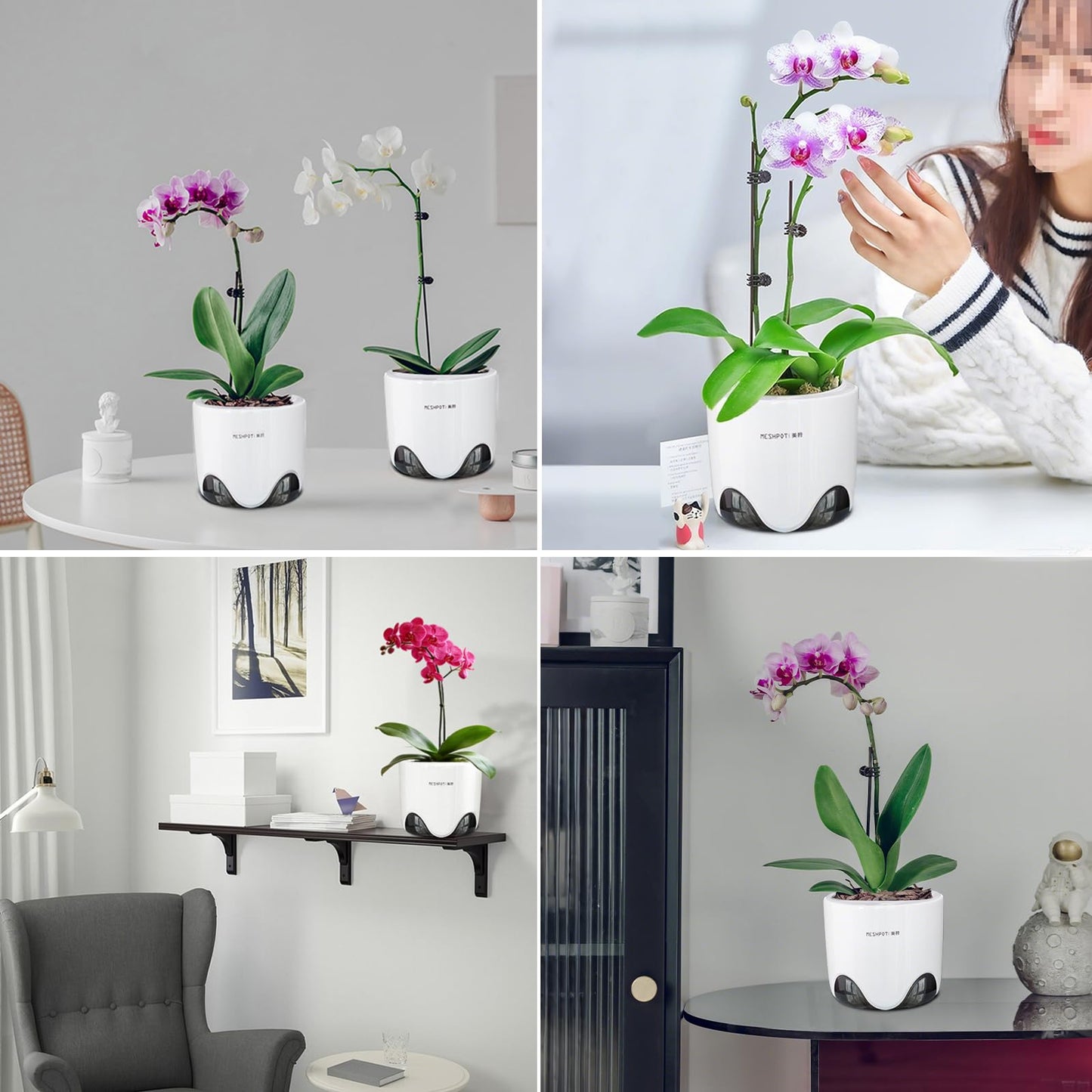 Meshpot 6 inch Orchid Pots with Holes for Repotting with Excellent Airflow, Set of 1, Double Layer Plastic Imitate Ceramic Orchid Planter, Clear Orchid Pot Match Decorative Orchid Container
