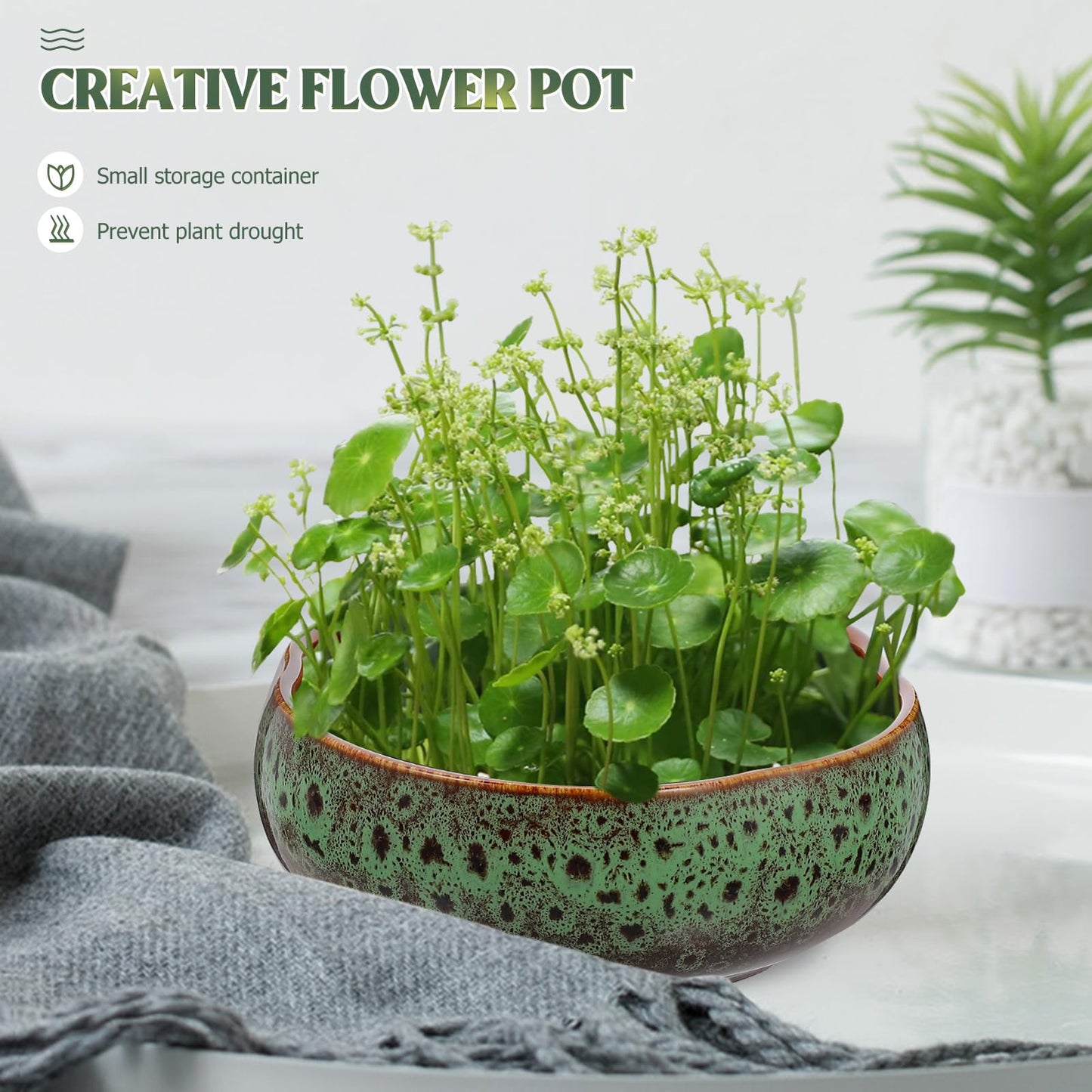 Happyyami Hydroponic Water Planter Pot Ceramic Succulent Bonsai Pot Water Lily Narcissus Planting Bowl Flowerpot Container Garden Decoration ( Style b )
