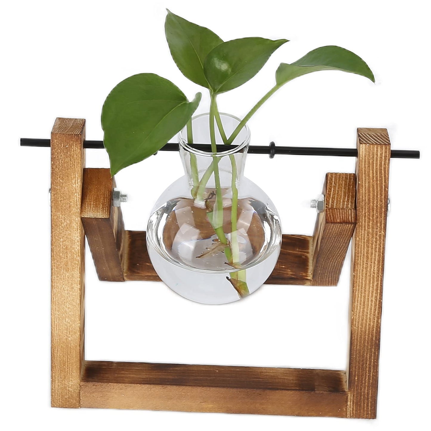 Fydun Plant Terrarium with Wooden Stand, Stand,Desktop Air Planter Glass Vase Desktop Terrariums Bulb for Indoor Hydroponics Water Plants Home Garden Office Decoration Accessories2