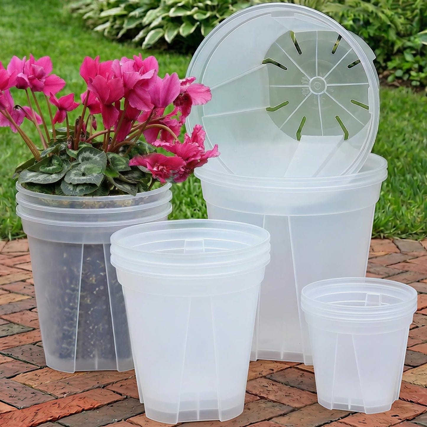 THMFHMW 6/8/10/12 Inch Large Clear Nursery Deep Pots with Drainage Hole 12 Pack, Deep Plant Pots with Drainage for Seedling Flower Vegetable, Ideal for Hyacinths, Amaryllis, Reusable Deep Pots