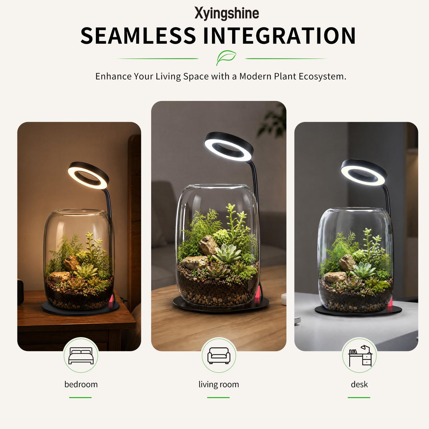 5X Aperture Glass Terrarium Grow Light with Full Spectrum LED for Indoor Plants, Mini Desk Plant Growing Lamp for Succulents & Moss, 3 Modes, 10 Brightness Levels, Height Adjustable