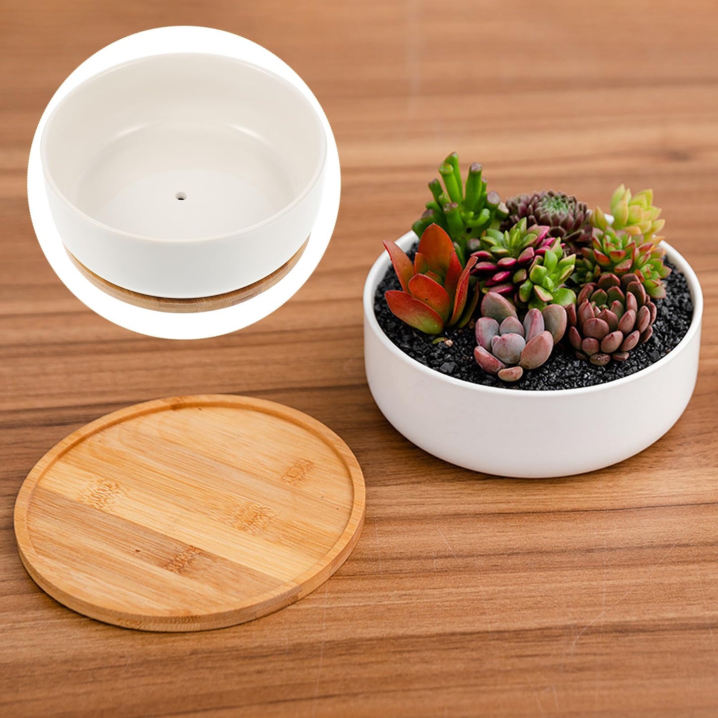 Toddmomy Ceramic Flowerpot Indoor Plant Pot Mini Bowl Planter Succulent Houseplant s Small Bonsai s Funny Plant s Ceramic Bonsai Planter White