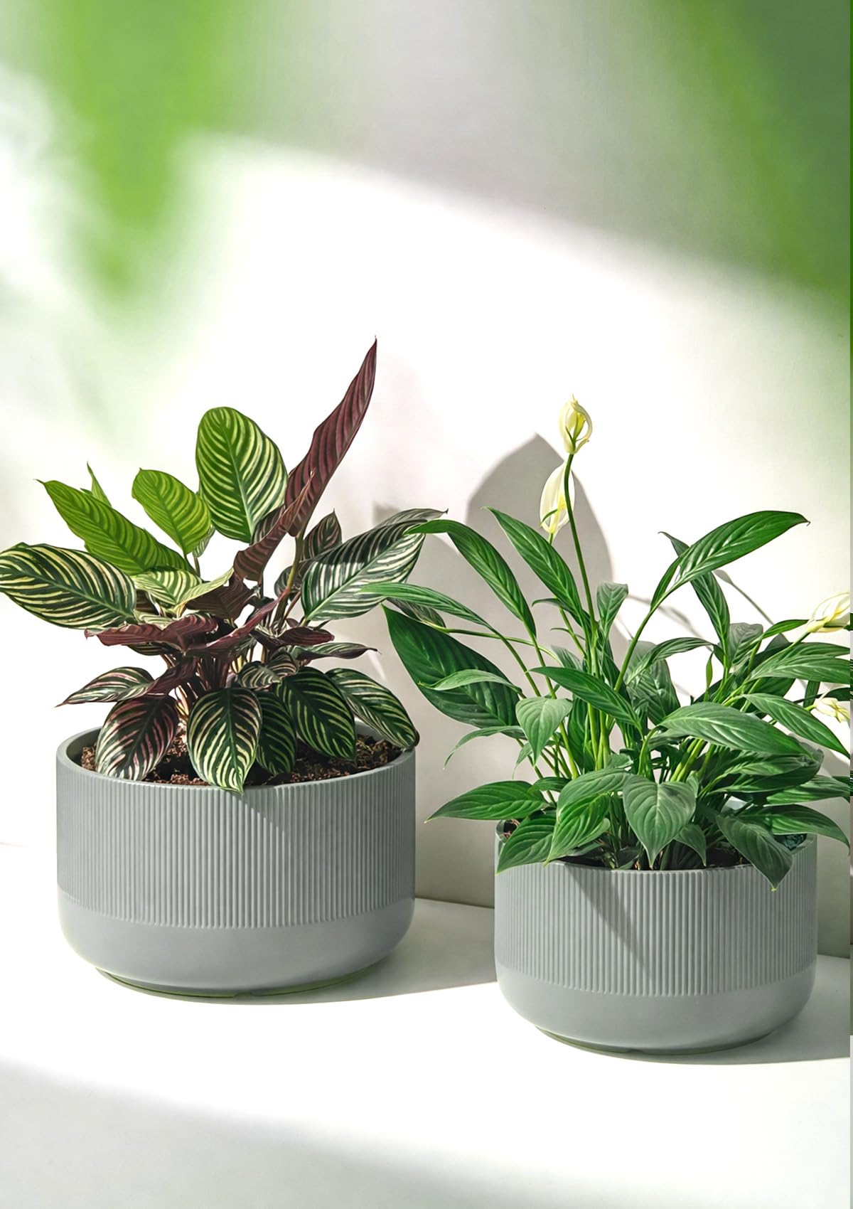 Jardin Tesoro Ceramic Planters - 10+12 Inch Large Pots for Indoor & Outdoor Plants, Modern Flower Pots with Drainage Holes and Self Watering Devices, House Grey-Blue Big Plant Pot, Set of 2