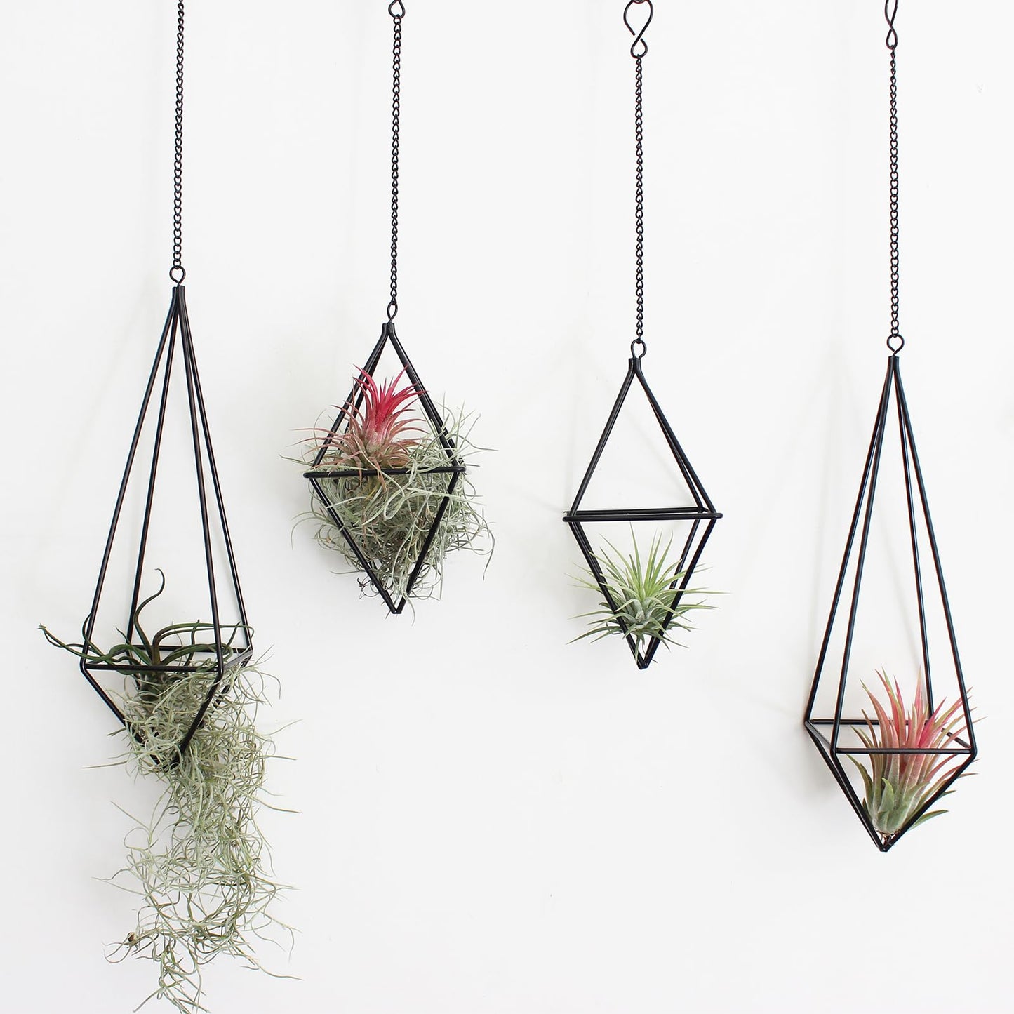 libproqia 4 Pcs Hanging Air Plants Holders Black Himmeli Large Geometric Tillandsia Air Plant Planter Hangers Airplants Display Wire Frame with Chains Wall Metal 2 Size