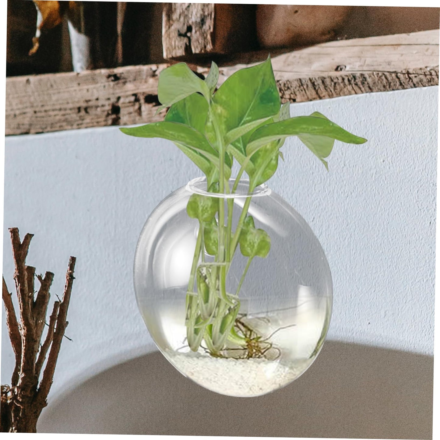 Yardenfun Wall Mounted Hydroponic Vase Glass Terrarium Planter for Indoor Plants Stylish Hanging Wall Planter for Home Decoration