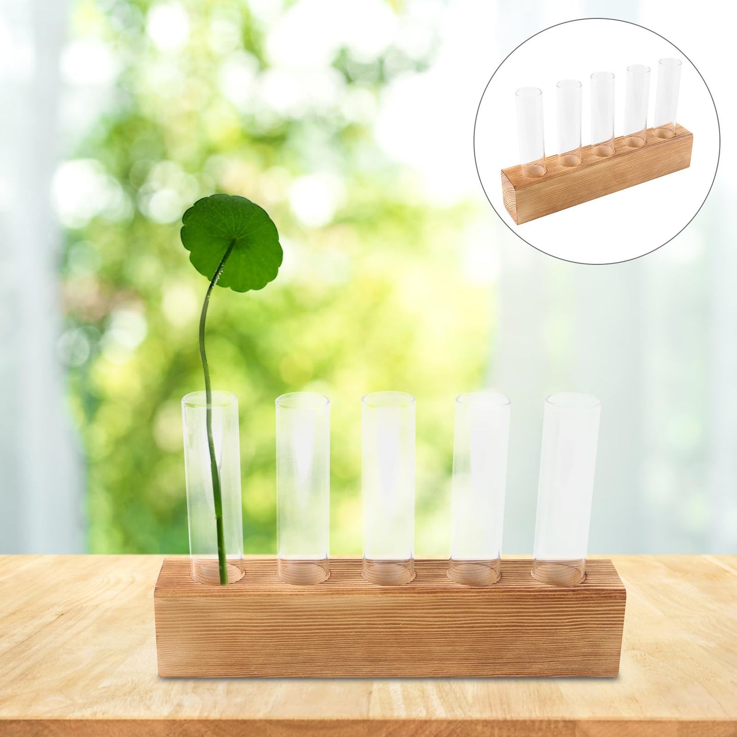 BESPORTBLE Desktop Hydroponic Glass Vase with 5-Hole Wooden Stand for Indoor Plant Propagation and Tabletop Terrarium Centerpiece
