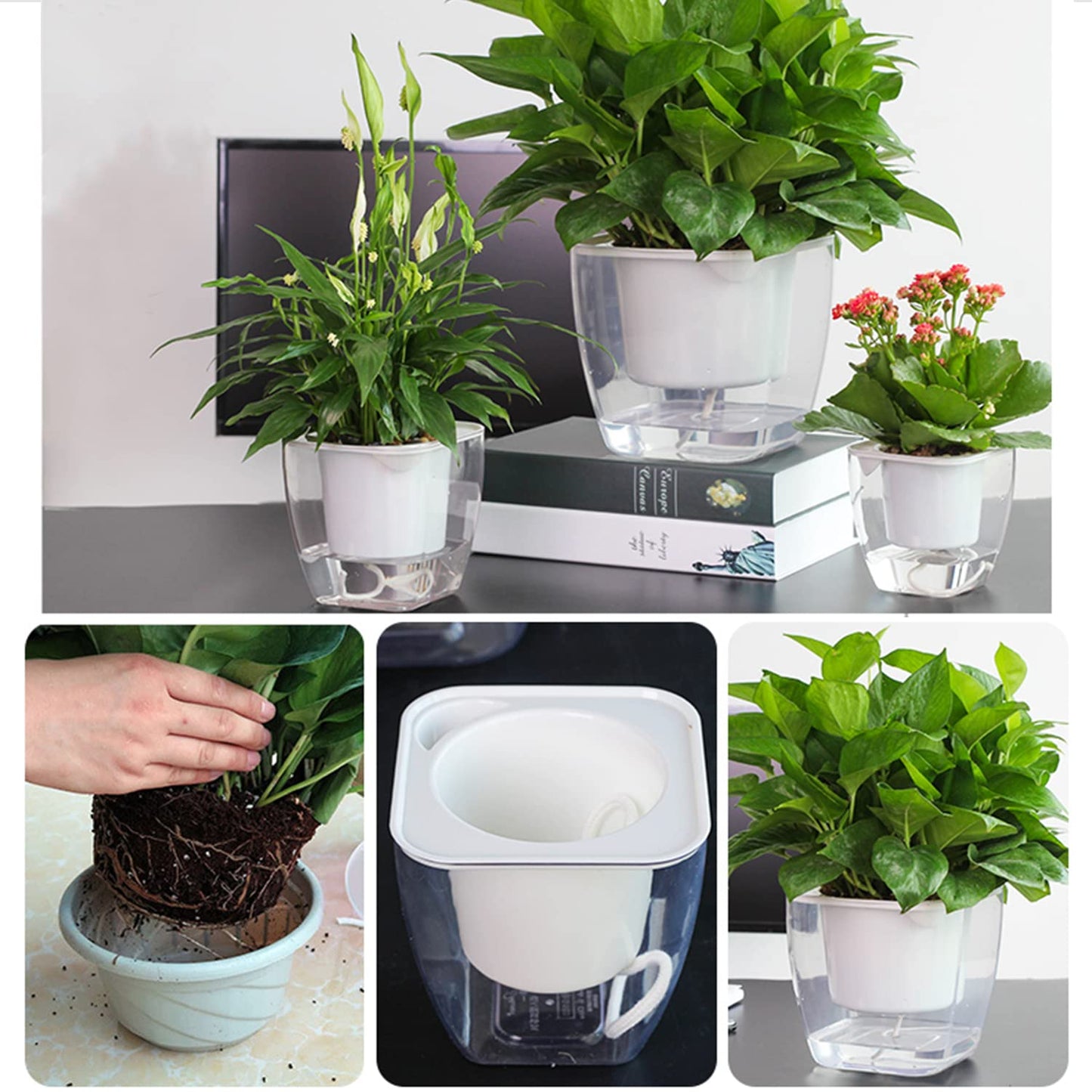Sungmor Clear Self Watering Planter for Indoor Plants, 3 Pack 6.9 Inch Plastic Violet Flower Pots, Square Watering Plant Pot for House Plants,Orchid,Succulents, Herbs