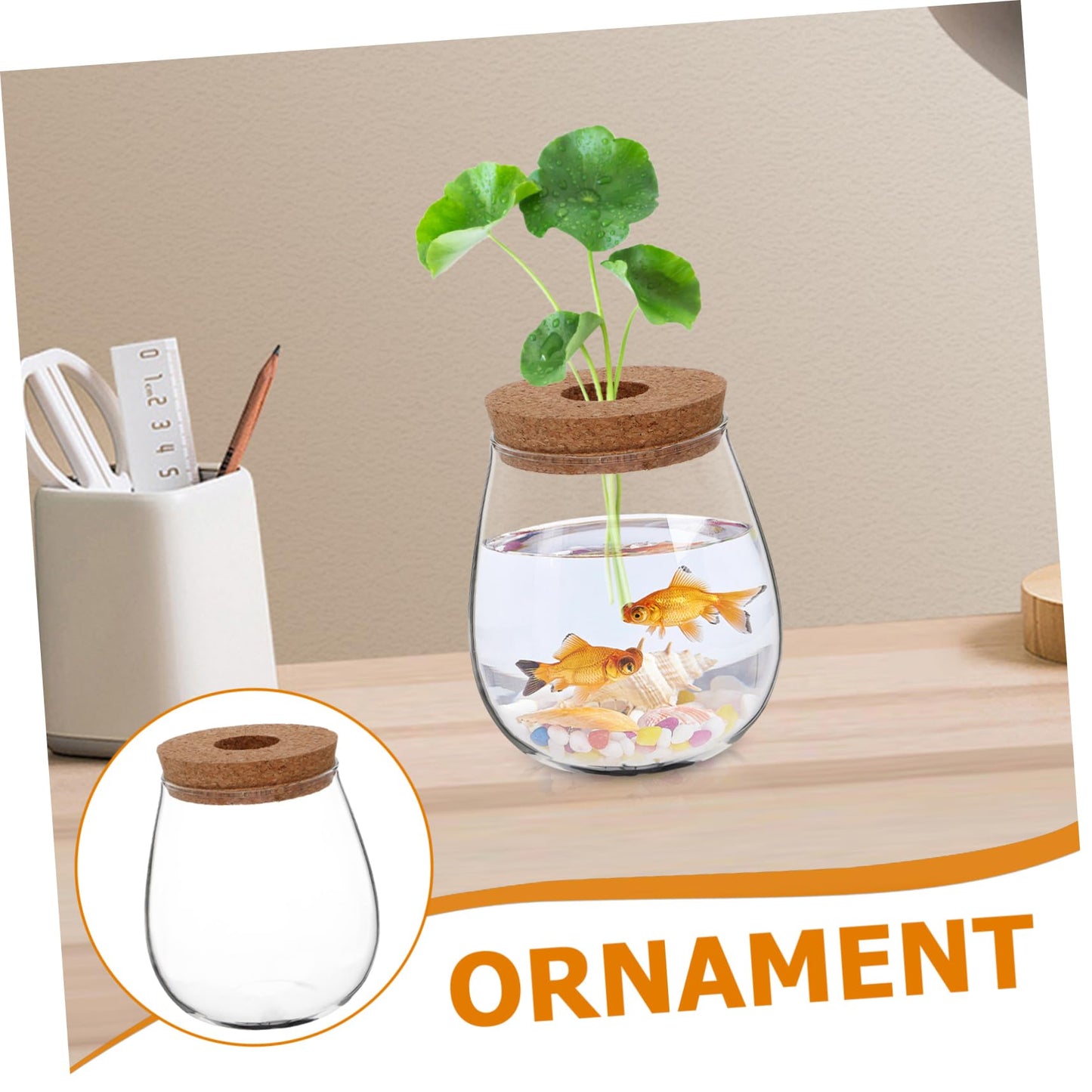 ifundom Creative Hydroponic Glass Vase for Plants Transparent Desktop Propagation Planter Elegant Terrarium for Indoor Greenery Low Maintenance Water Propagation Station for Spaces