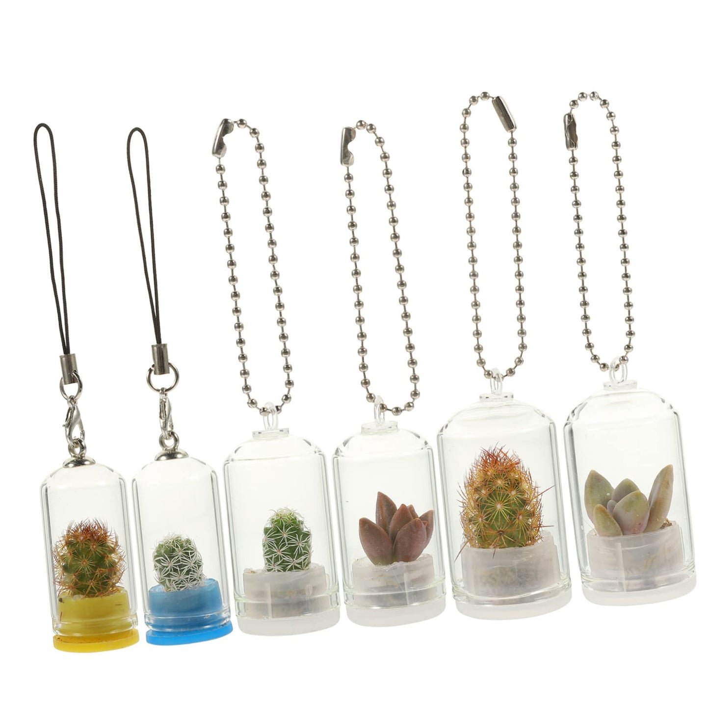ifundom 6Pcs Miniature Glass Terrarium Keychain Pendant for Air Plants Miniature Vases Accessories for Plant Propagation and Home Decor
