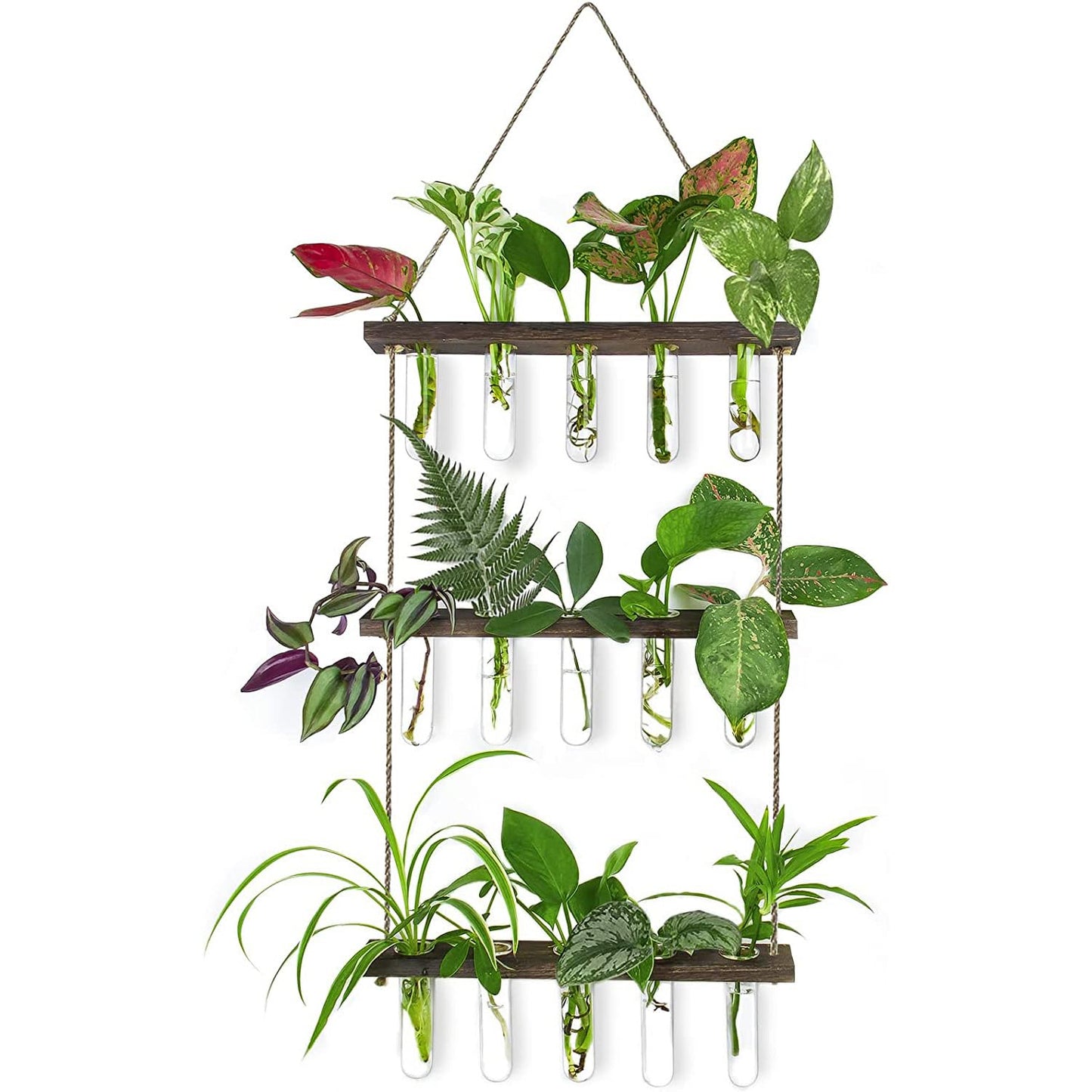 Propagation Station, Plants Terrarium, Plants Lover Gifts for Women,Plant Cutting Holder Home décor,Gifts for Women,House Warming New Home-15 Tubes-Brown