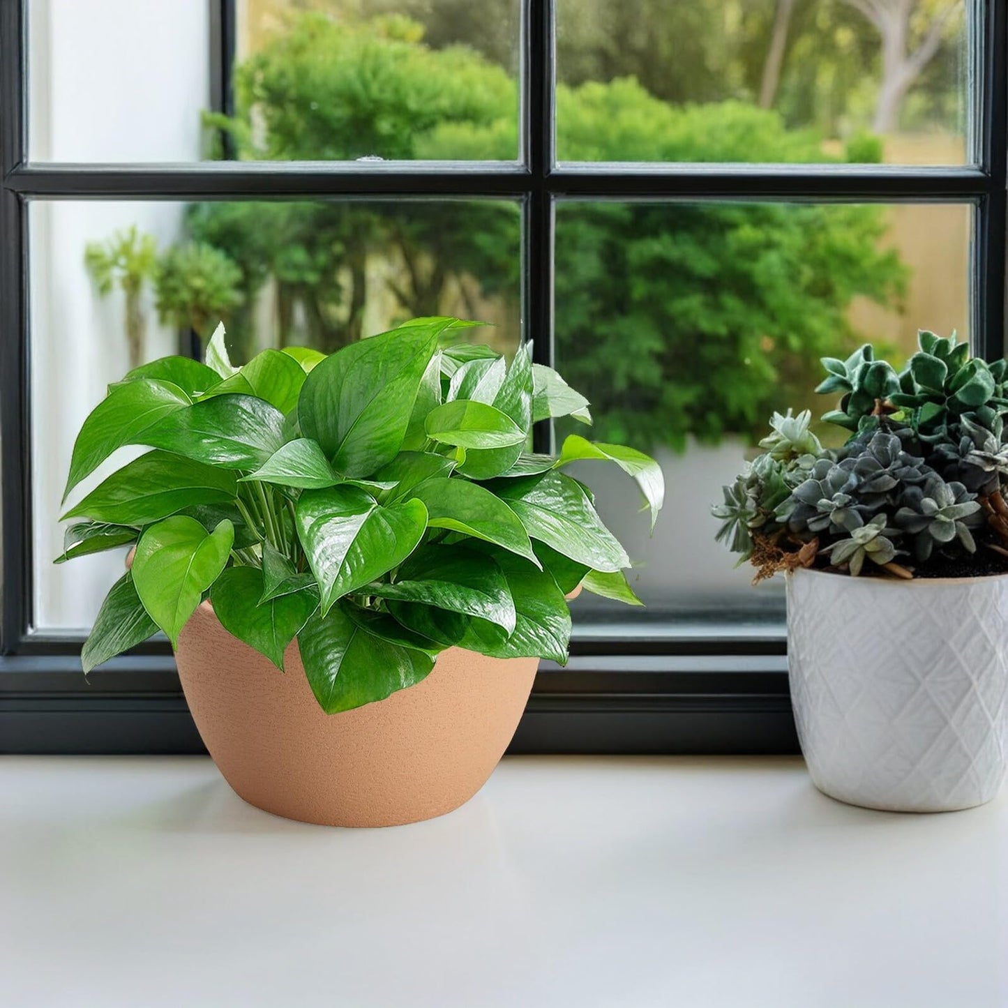 DOITOOL Plastic Hangers Hanging Planters Hanging Planters Wall Planter Flower Plant Pot Railing Planter Basket Half Round Flowerpot for Fence Balcony Gardens S Light Indoor Plants
