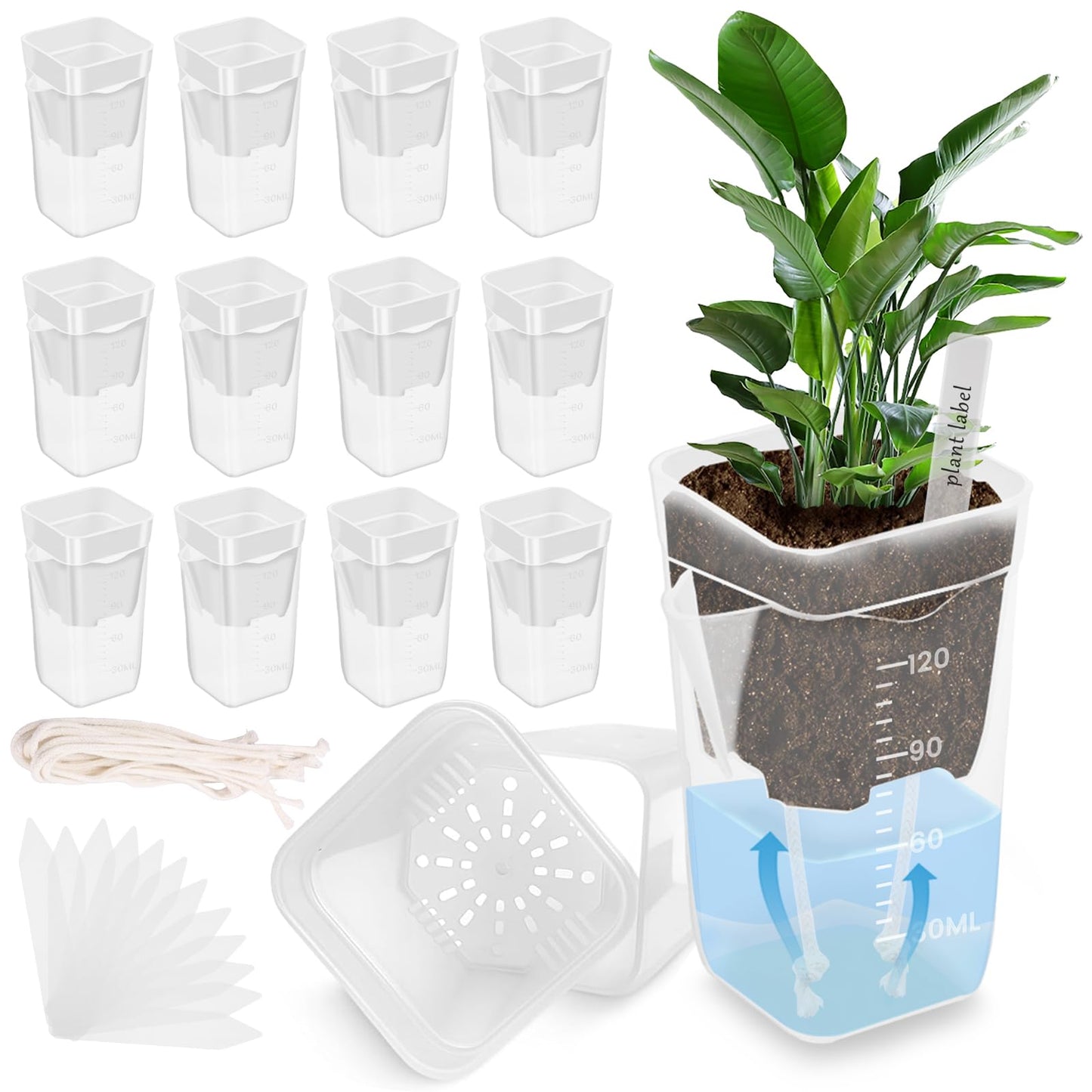 Fizocosisto 12Pcs 2.5Inch Self Watering Pots for Indoor Plant Mini Clear Plastic Planter for Hoya African Violets Alocasia