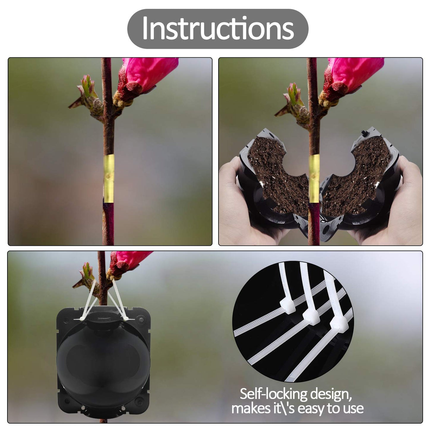 FCENDS 24 PCS Plant Root Growing Boxes Grafting Device, Reusable Plant Rooting Device Ball, High Pressure Propagation Ball Rooter Boxes for Garden (Medium)