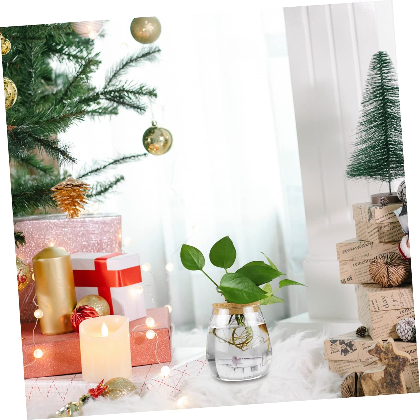 MAGICLULU 2pcs Glass Plant Terrarium Holder for Desktop Decor Moss Plant Bottle for Indoor Greenery Transparent Watering for