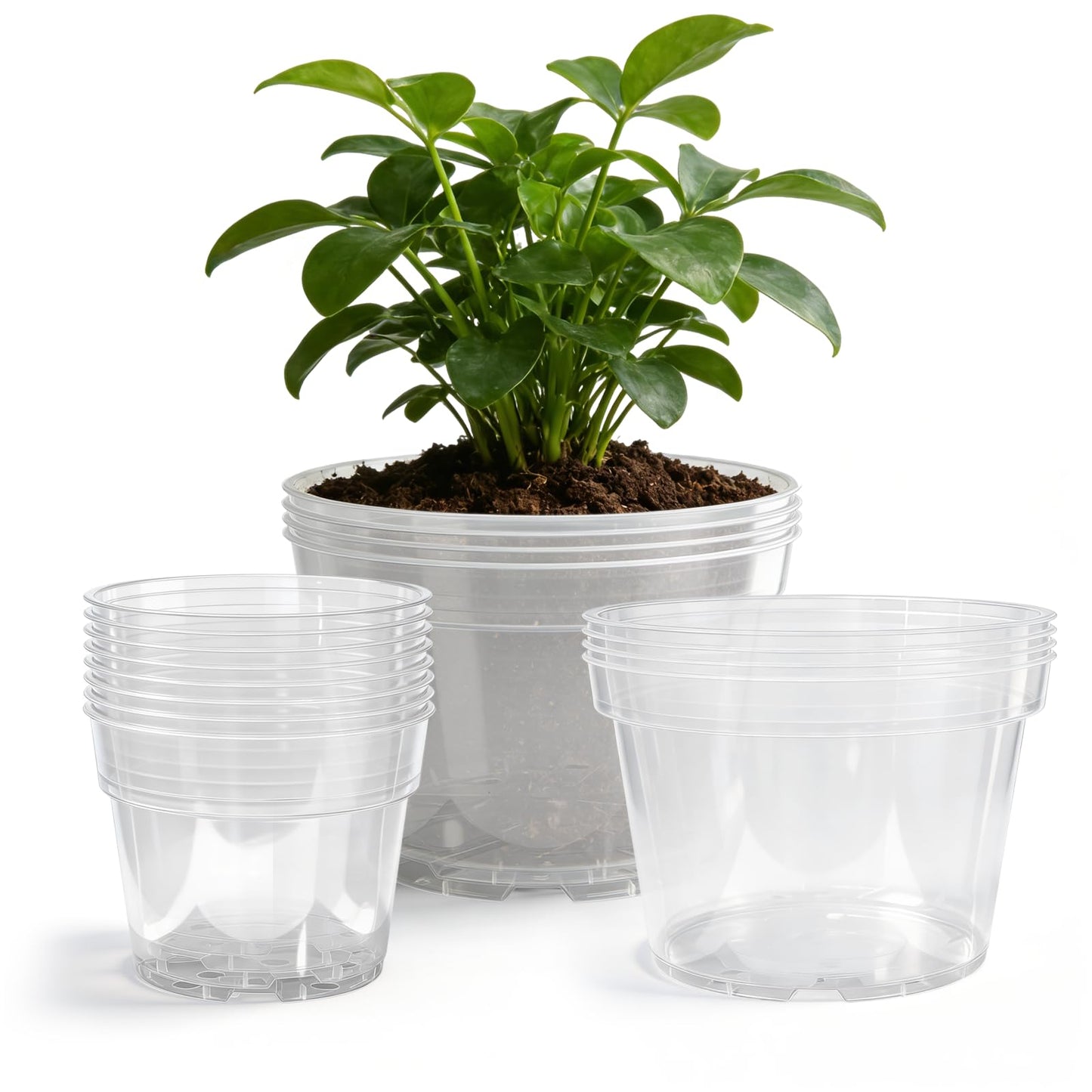Gute 6/8/10 Inch Clear Nursery Pots with Drainage Holes (14 Pack), Reusable Plastic Plant Pots for Indoor & Outdoor Gardening, Ideal for Seedlings, Succulents, Vegetables, Orchids & More