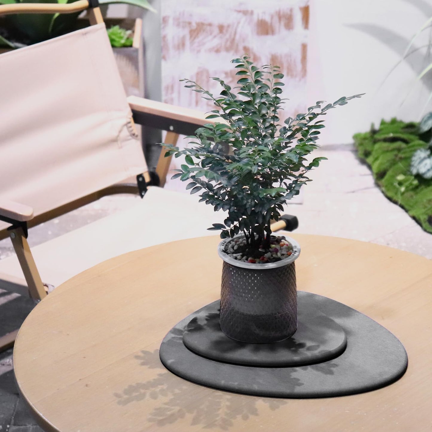 Elfcool Plant Saucer Quick Dry Absorbent Flower Pot Saucer Dirp Tray Diatomaceous Earth Mat for Indoor Outdoor Plants (8''-Dark Grey-2pack)