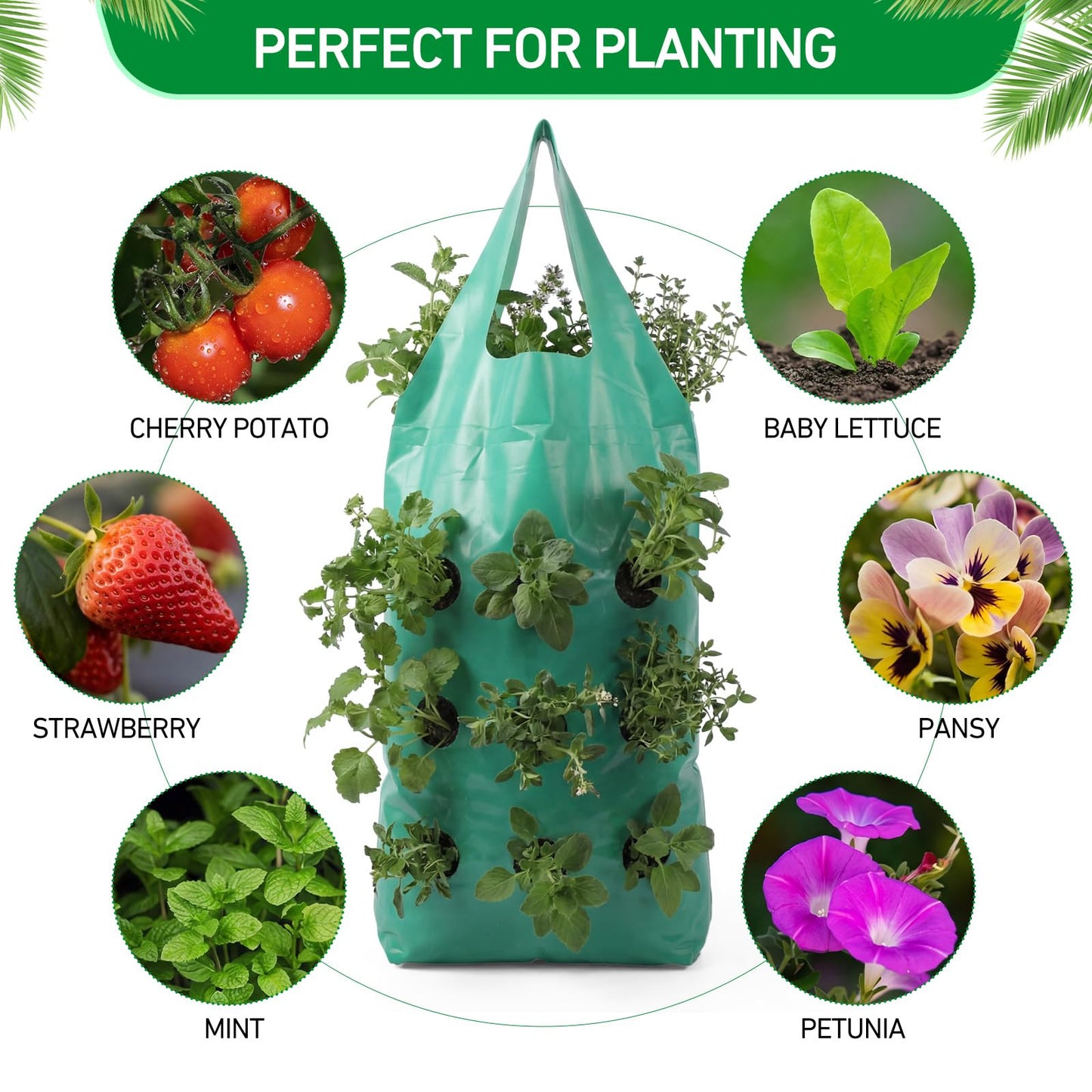 50 Pack Hanging Strawberry Planter Grow Bags, 9 Hole Plastic Hanging Vertical Planters, Upside Down Garden Bags with Reinforced Handles for Outdoor Wall Strawberries, Cherry, Tomatoes, Flowers, Tomato