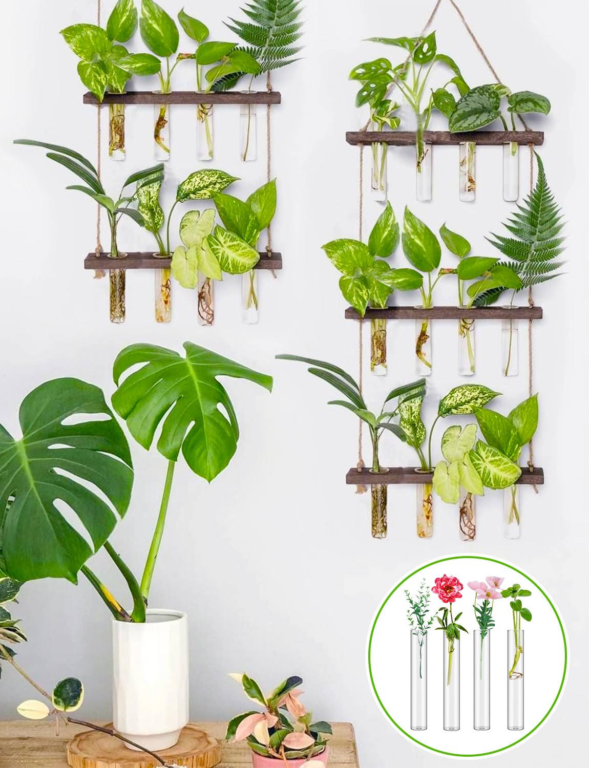 8 Tube Glass Plant Propagation Stations Clear Glass Test Tubes Tiered Planters Accessories for Home Office Plant Hanger Flower Vases Wall Decor Hydroponic Cuttings Clear Vases