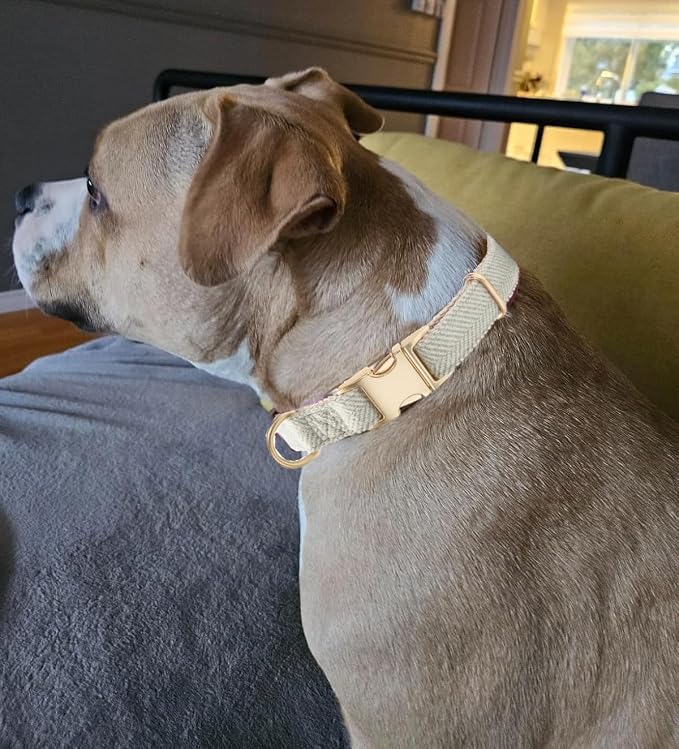 Luxury Soft Cotton Tweed Fabric Dog Collar & Leash Set with Gold Buckle – Durable Fabric, Stylish Design for Everyday Walks(Large Grey)