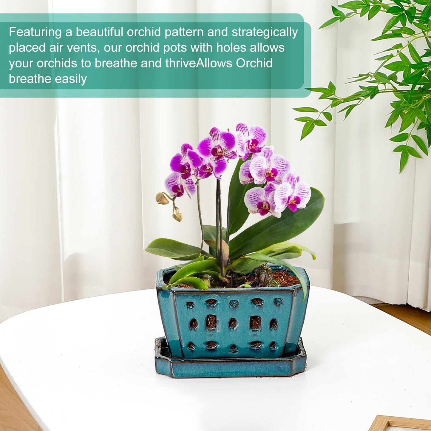 Teenyyou 1 Set Orchid Pot with Holes 7 Inch Ceramic Orchid Pot with Saucers for Repotting Amaryllis Flower Planter Include Gardening Shovel Set and Gloves for Home Decor(Green)