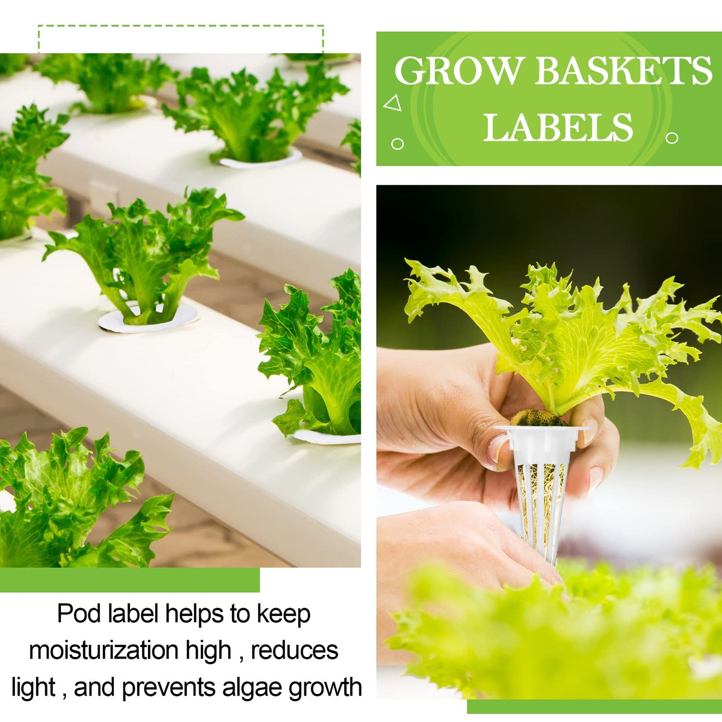Cunhill 100 Pcs Hydroponic Growing Kit Include 50 Pcs Plant Replacement Basket Containers and 50 Pcs Seed Pot Label Compatible with Hydroponic Growing System(0.5 Inch,White)