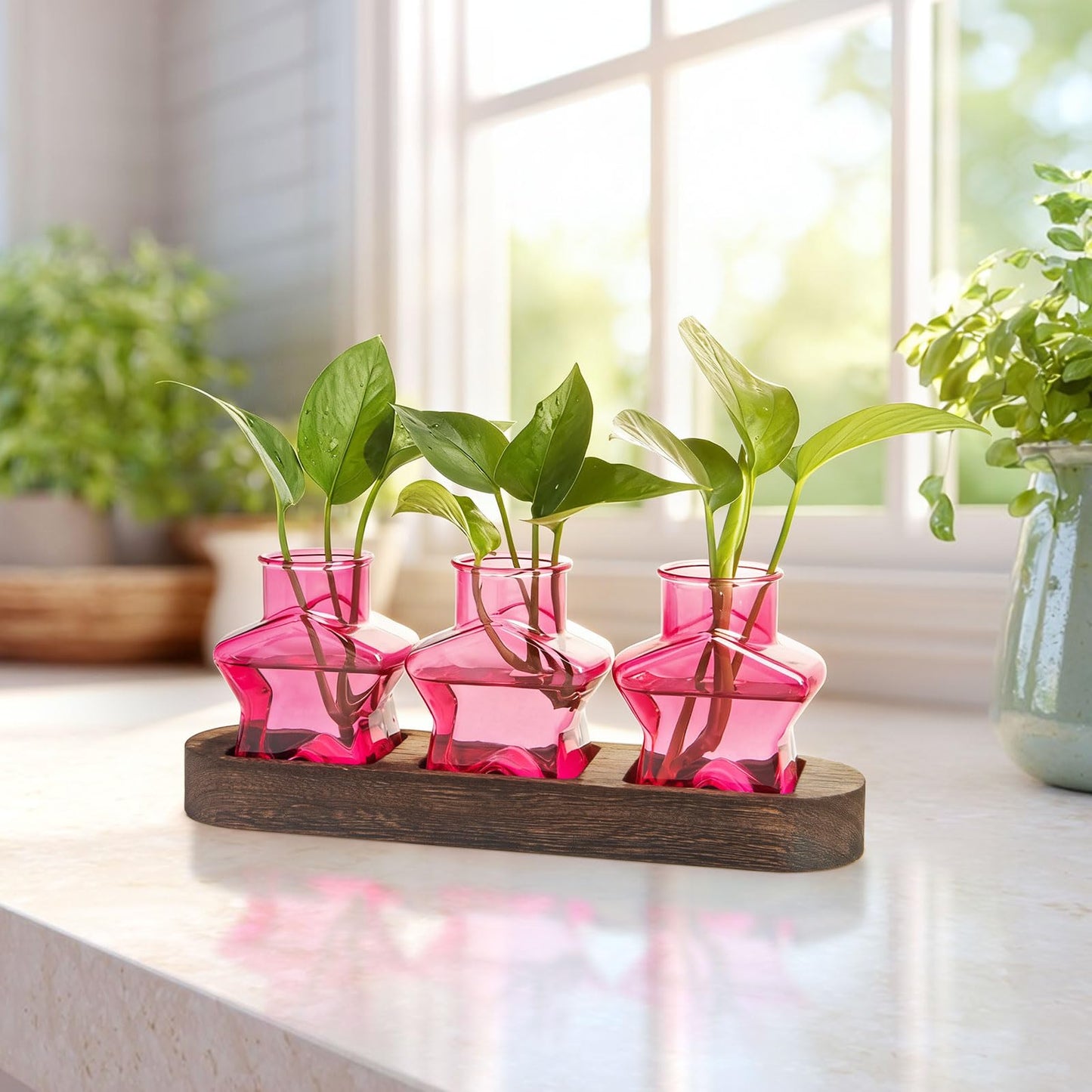 XXXFLOWER Plant Propagation Station with Wooden Stand，Air Plant Terrarium Starter Kits Star Vases for Flowers Plant Cutting Rooting Pots Indoor Hydroponic Glass Planter for Plant Lovers,3 Jars(Pink)