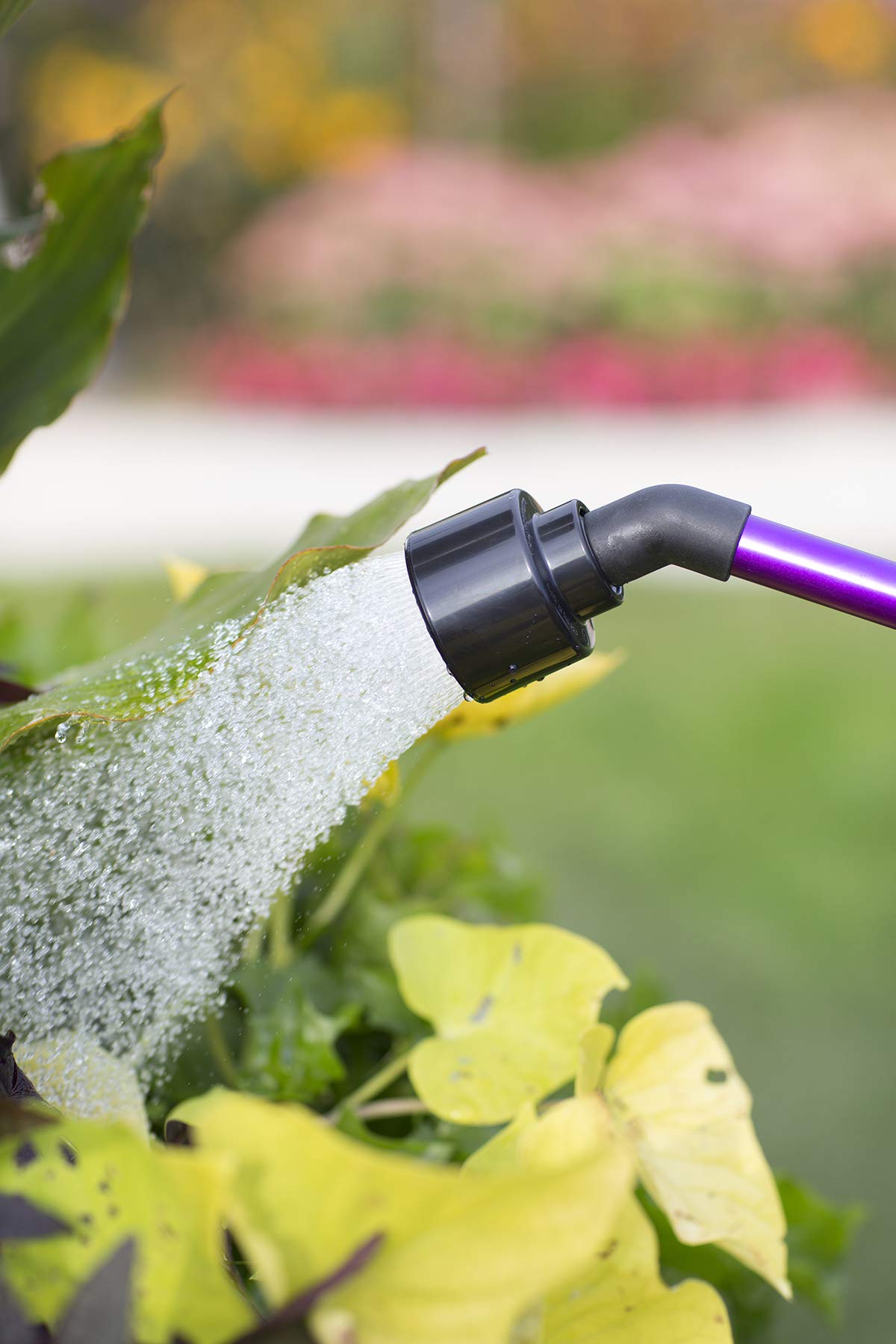 Dramm Rain Wand with One Touch Thumb Valve – Gentle Full Flow Shower Head Watering Wand for Garden Hose, Aluminum Construction – 16 Inch – Berry