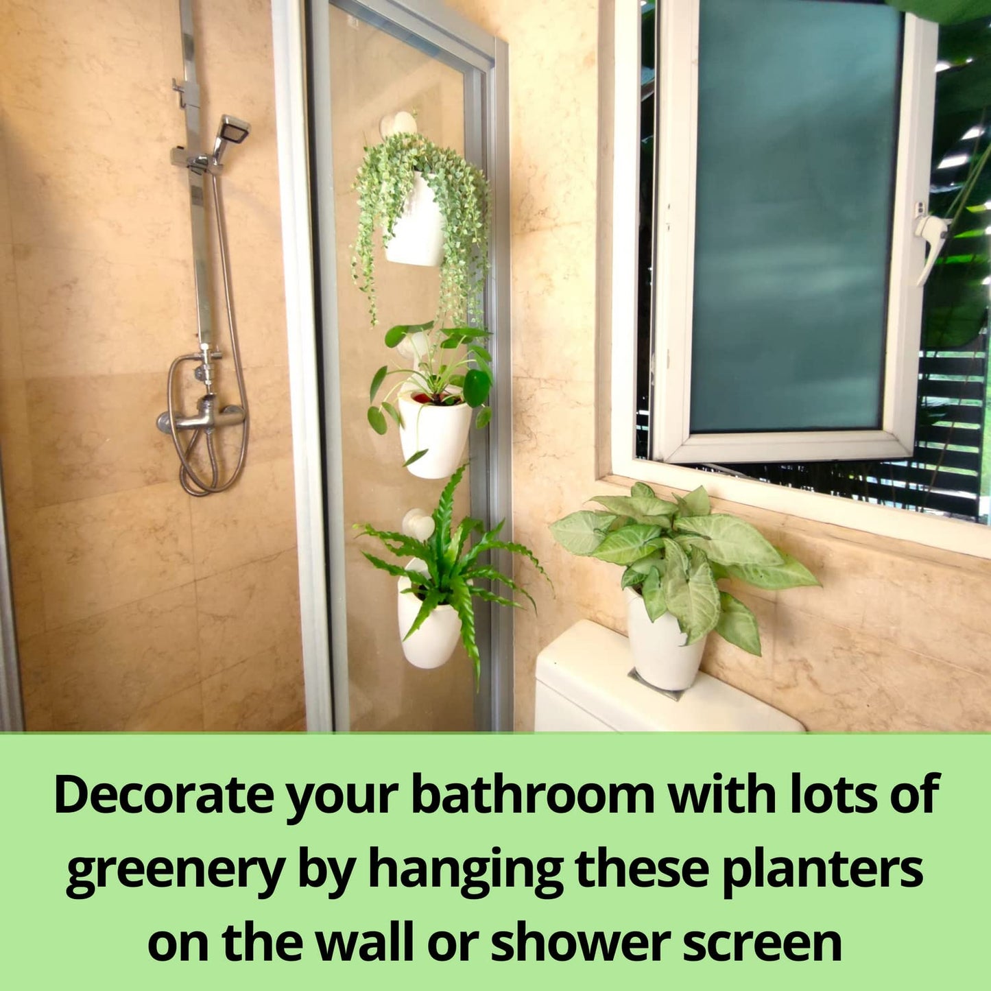 LaLaGreen Bundle- 10 Pack, 5 Inch Self Watering Plastic Pot + 2 Pack, 15.7 Inch Rustic Wooden Plant Holder Wall Mount Vertical Live Eco Garden System Trendy Herb Orchid Airplant Hanging Frame Display