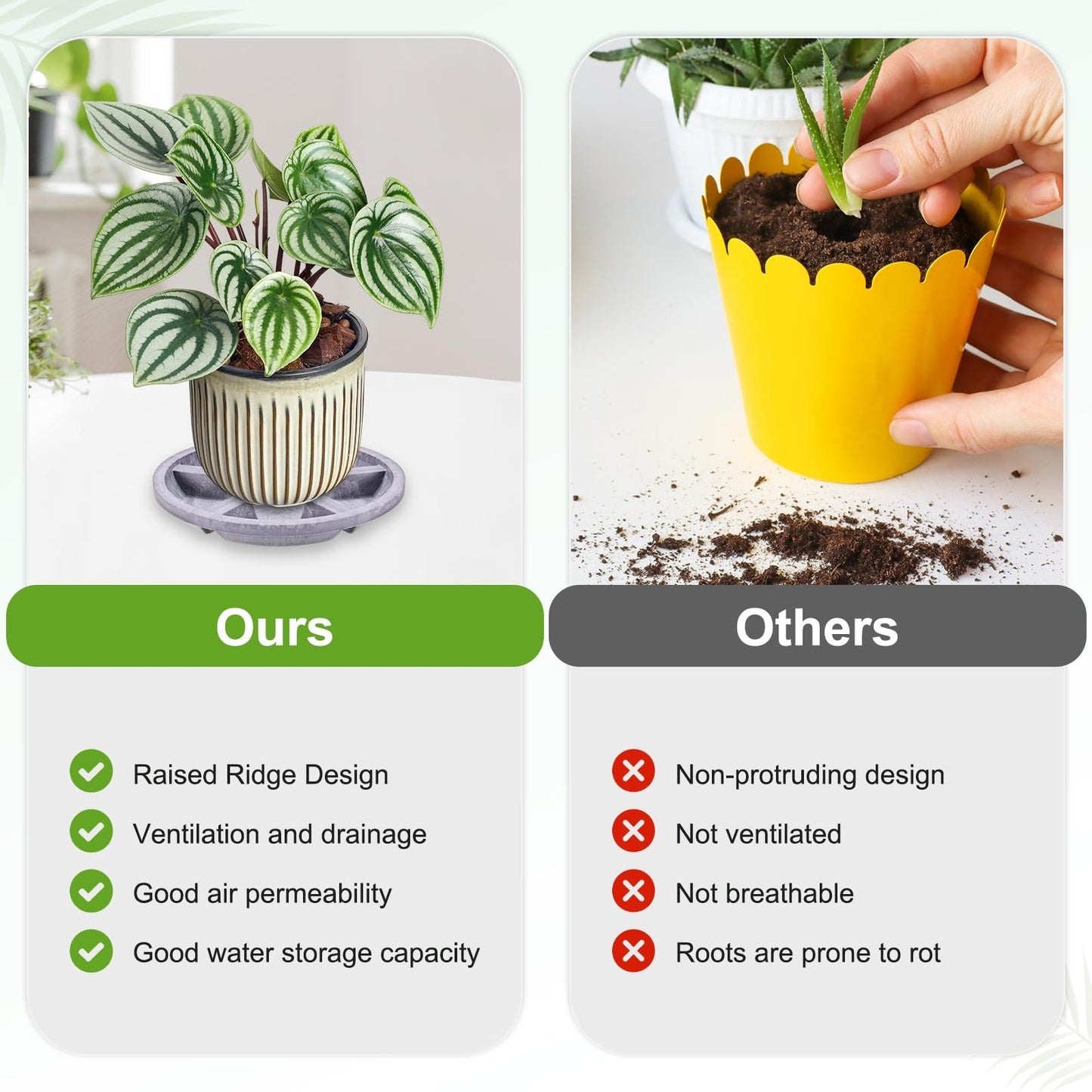 M METERXITY 2-Pack Plant Saucer, 6.3 Inch/16 cm Plastic Plant Trays Thicker for Pots/Indoor/Outdoor/Water Drainage and Protection, Flowerpot Drip Tray [Purple Veins]