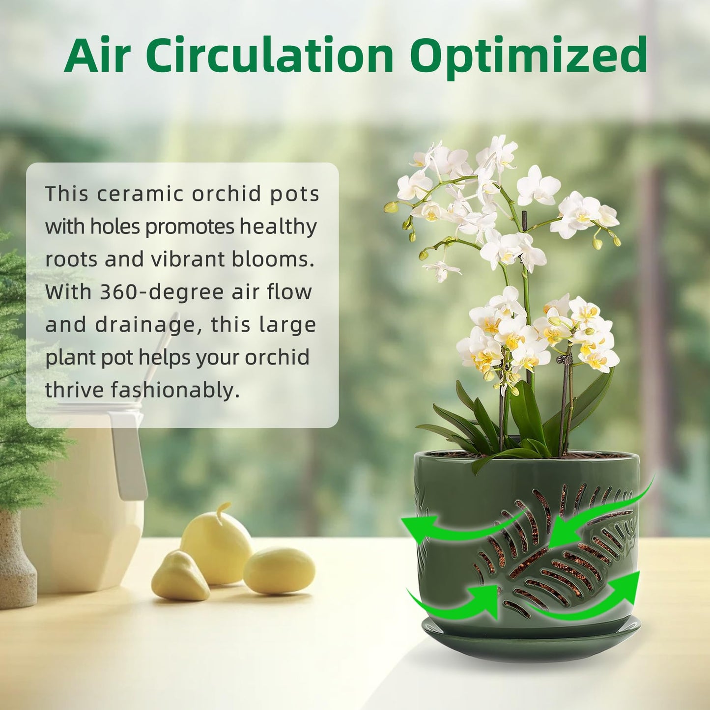LITUDISO 5+6 inch Orchid Pots with Holes, Orchid Pots for Repotting, Healthy Air Circulation Plant Pots for Plant Lovers, Planters for Indoor/Outdoor Plants, Set of 2