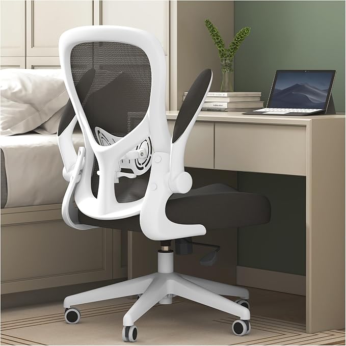 Hbada Office Chair Ergonomic Desk Chair, Office Desk Chairs