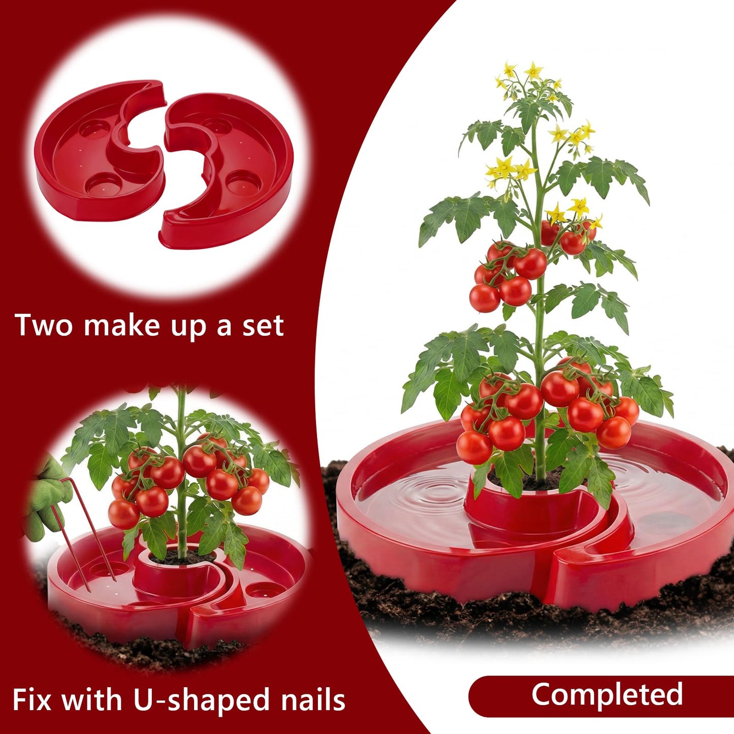 U0U 5 Sets Tomato Watering Trays,Tomatos Ring Tray Used to Improve the Yield of Tomato Plants,Help to Plant Vegetables Water Saving, Easy to Direct the Root Irrigation (5, Red)